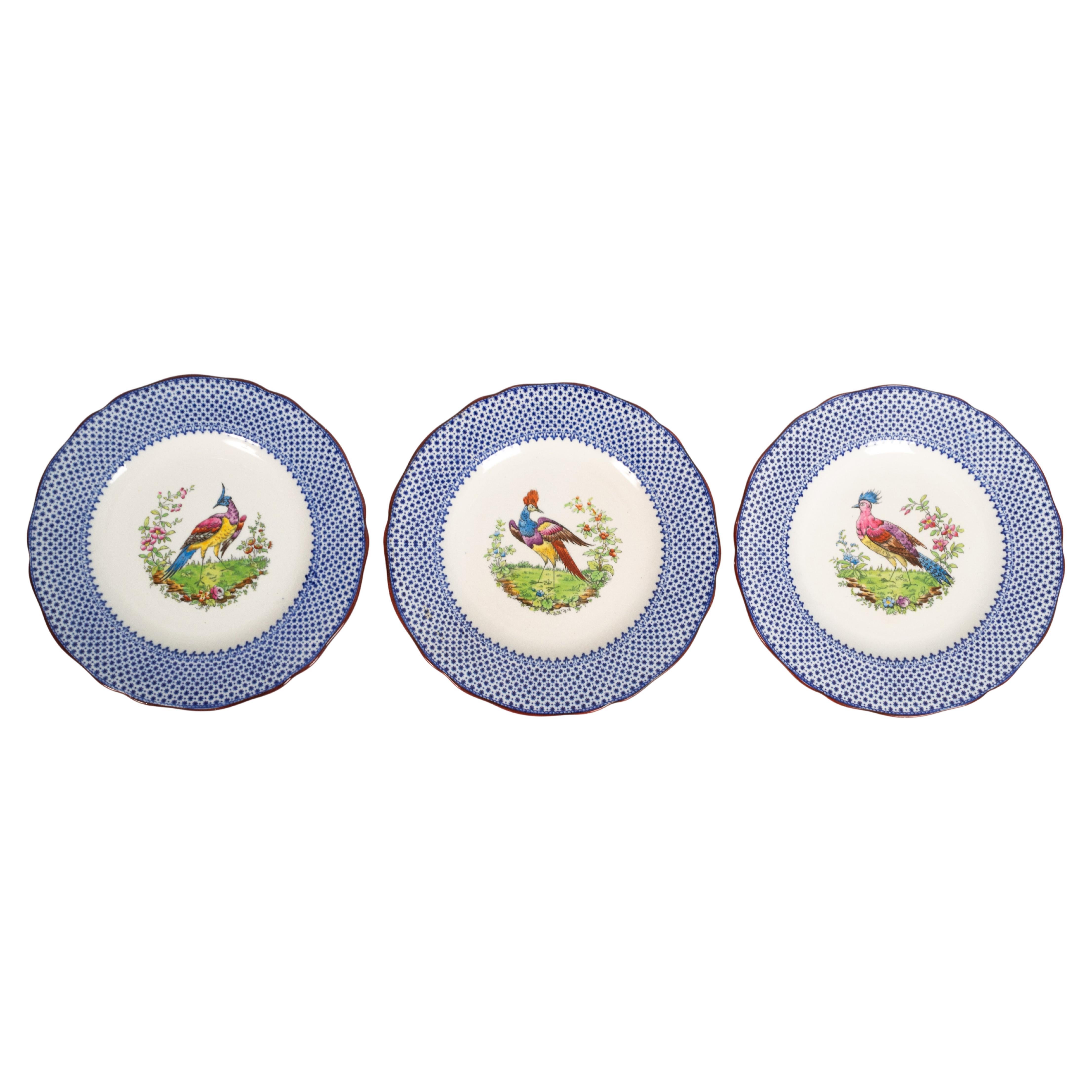 Set 3 Antique English Copeland Spode Chelsea Fantasy Bird Plates, circa 1910