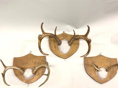 Set 3 French Alps, Gilt Shield Mounted Antlers, attr Jean-Charles Moreux c. 1935