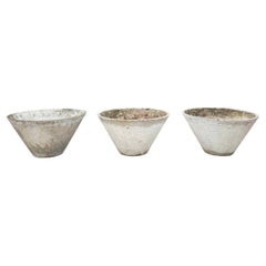 ¡Set 3! XL 22" Diám. 11,6" H Hormigón Cónico W. Guhl Jardinera Eternit A+ Pátina