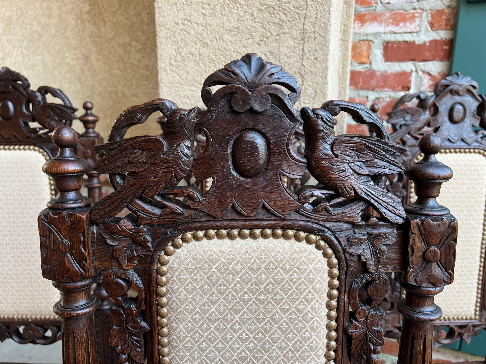 Set 4 Antique French Dining Chairs Renaissance Carved Oak Bird Black Forest For Sale 9