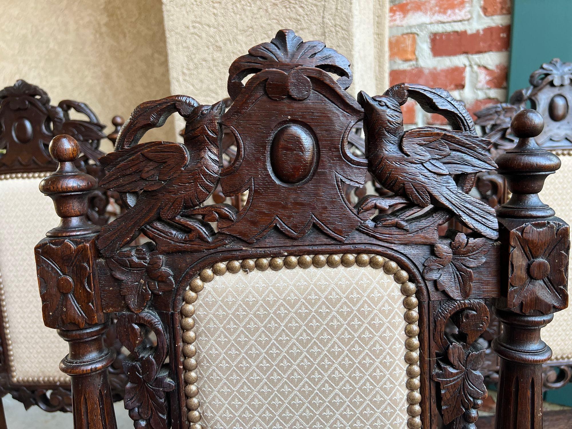 Set 4 Antique French Dining Chairs Renaissance Carved Oak Bird Black Forest For Sale 10