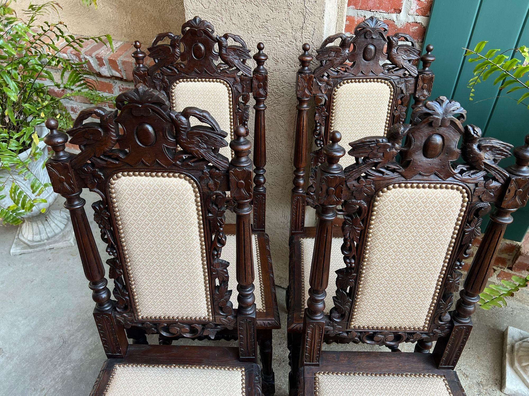Set 4 Antique French Dining Chairs Renaissance Carved Oak Bird Black Forest In Good Condition For Sale In Shreveport, LA