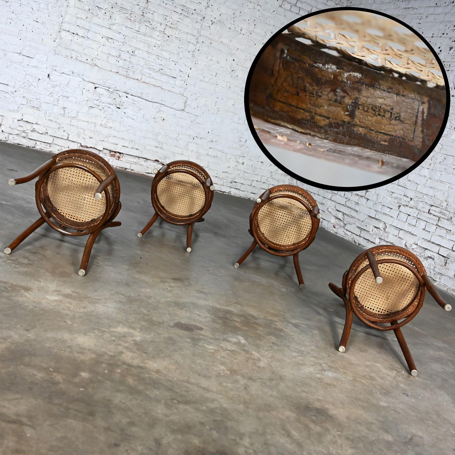 Ensemble de 4 chaises de café #18 de style Bauhaus par Thonet Structure en bois breton et sièges cannés à la main 11