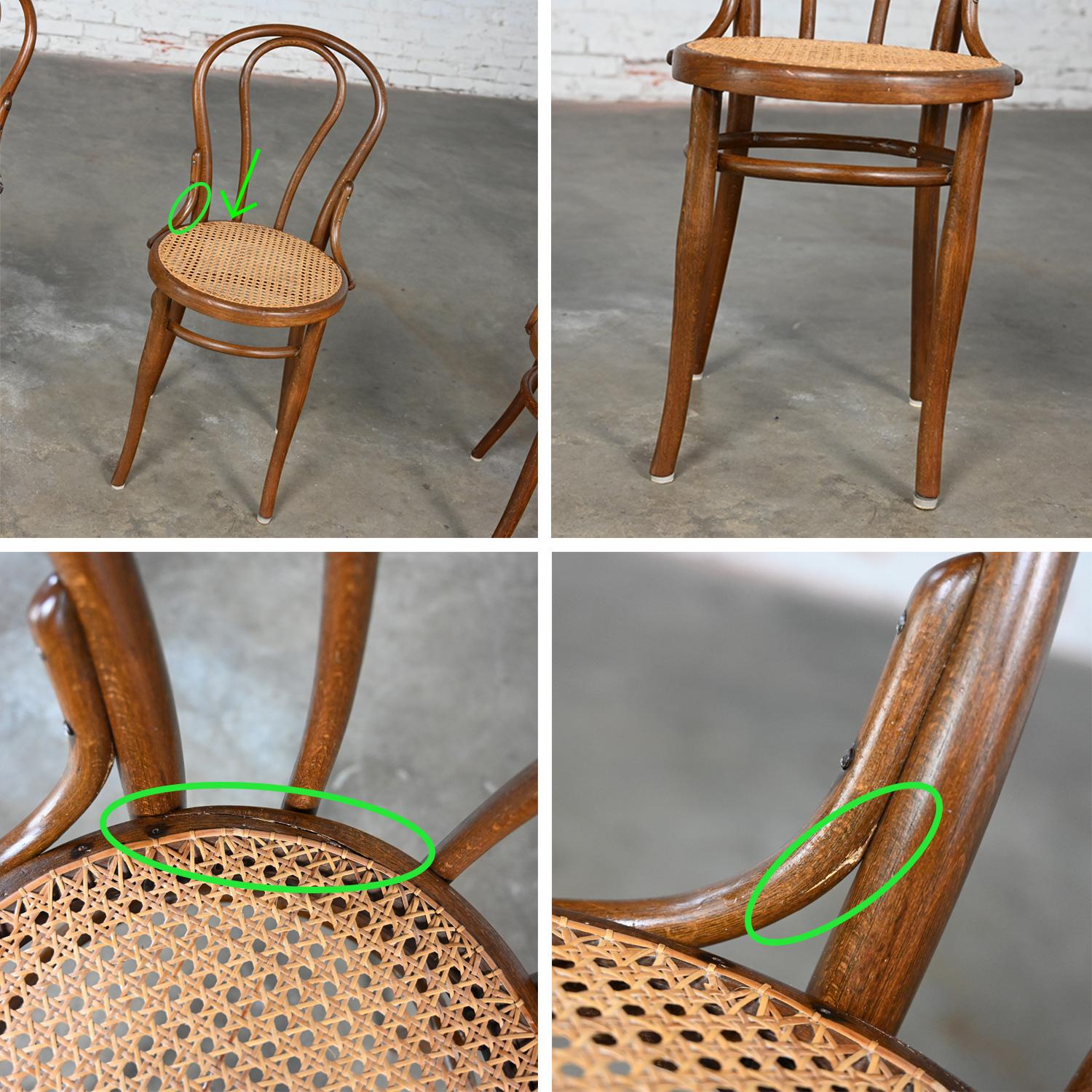 Ensemble de 4 chaises de café #18 de style Bauhaus par Thonet Structure en bois breton et sièges cannés à la main 13