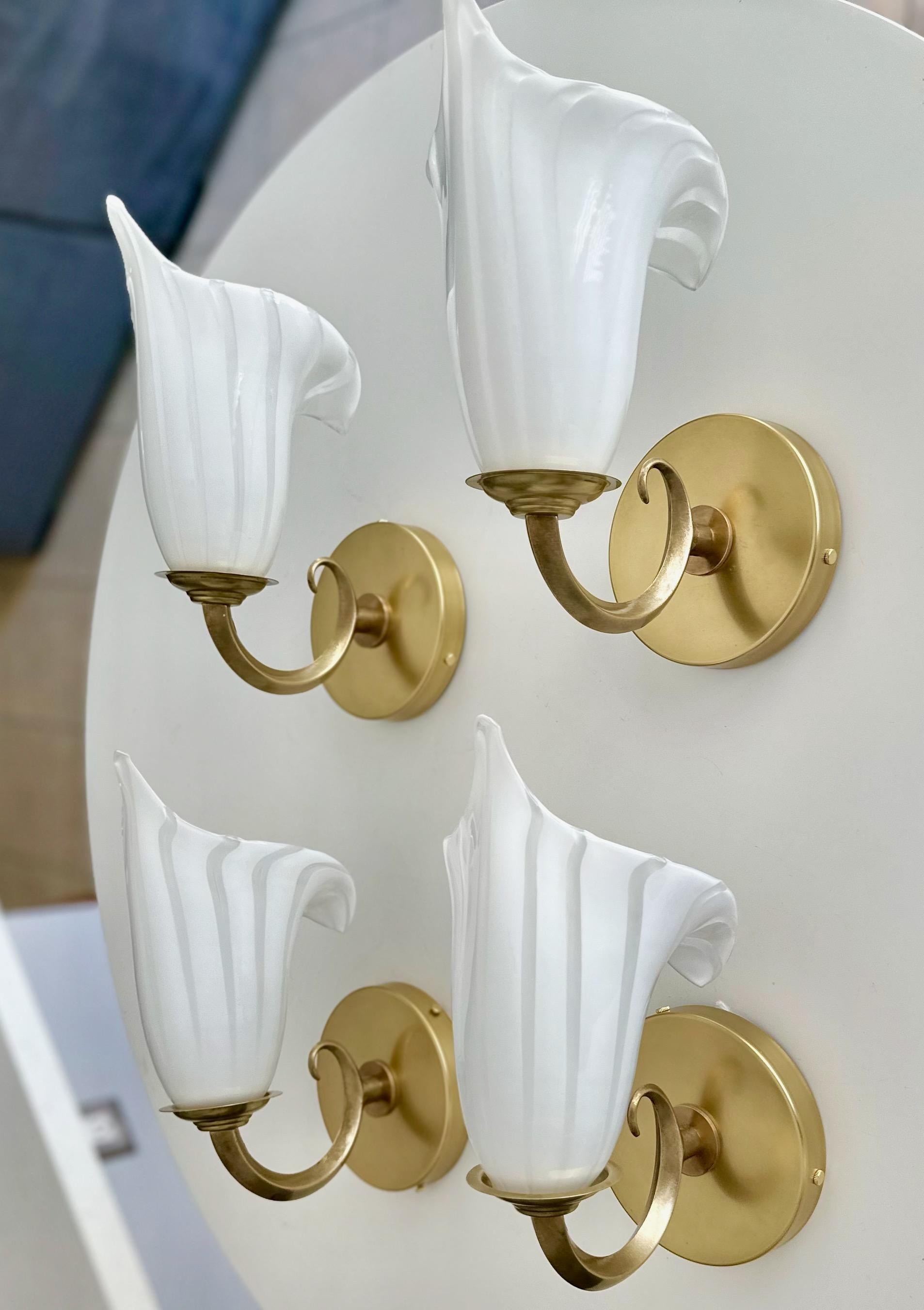 Ensemble de 4 (quatre) appliques murales en forme de lys calla blanc et transparent soufflées à la main par Murano et montées sur des plaques de fond en laiton. Chaque lampe fonctionne avec une seule ampoule de type candélabre. Nouvellement câblé