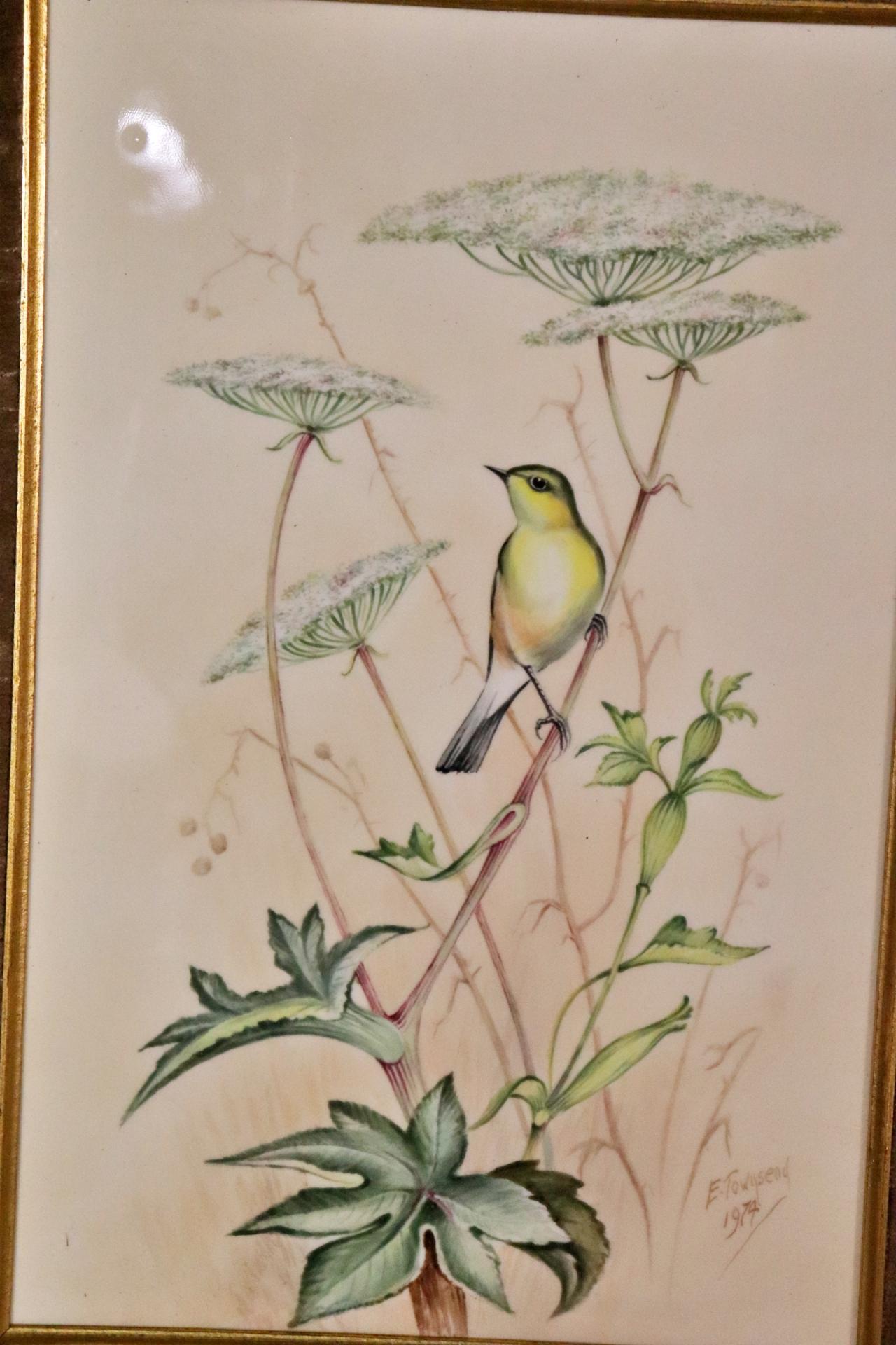 Signed E. Townsend and dated 1974. Number 1 (Chiff Chaff), 2 (Robin), 3 (Chaffinches) and 4 (Wrens) of 15. From a limited edition of 25 sets. British bird subjects by the Worcester Royal Porcelain Co. LTD. Hand carved frame commissioned by Royal