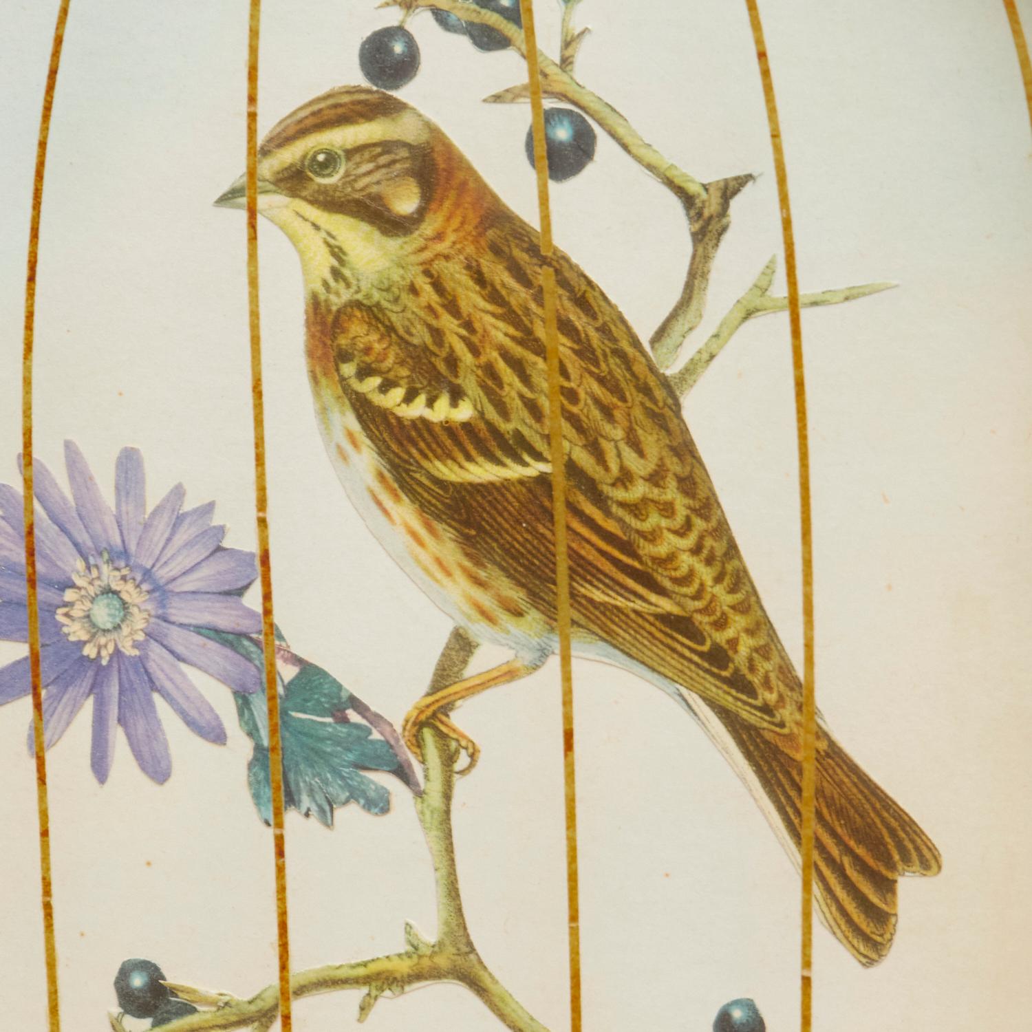 Late Victorian trompe l'oeil English chromolithographs of birds on paper, in arched giltwood and mirrored shadow box style frames, with gold paper 'bars' laid over glass. 

This is a charming set of bird engravings using an unusual and eye catching 