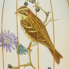 Set (4) Trompe L'oeil Victorian English Bird Engravings in Birdcage Shadow Boxes