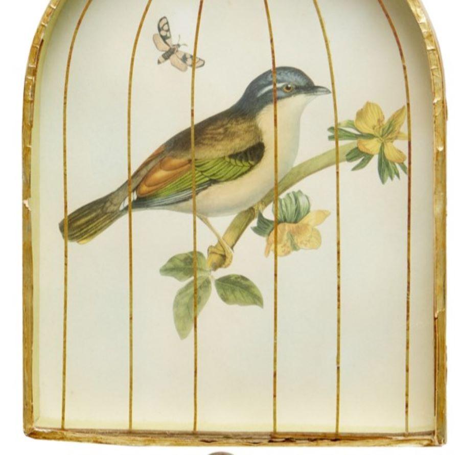Late Victorian Set (4) Trompe L'oeil Victorian English Bird Engravings in Birdcage Shadow Boxes