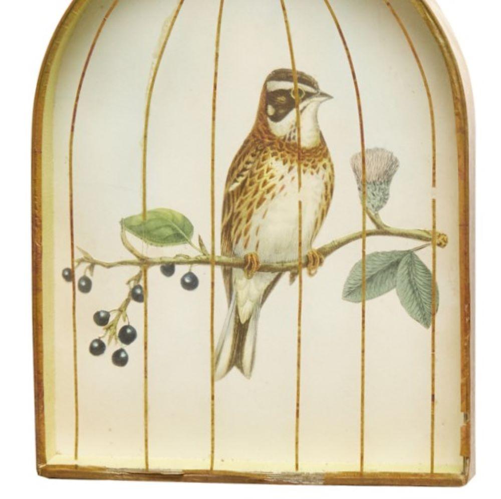 Gilt Set (4) Trompe L'oeil Victorian English Bird Engravings in Birdcage Shadow Boxes