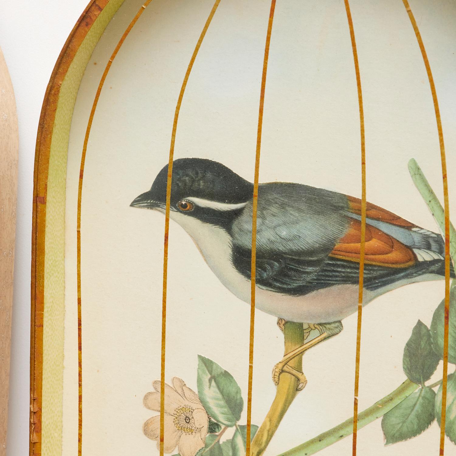 Set (4) Trompe L'oeil Victorian English Bird Engravings in Birdcage Shadow Boxes In Good Condition In Morristown, NJ