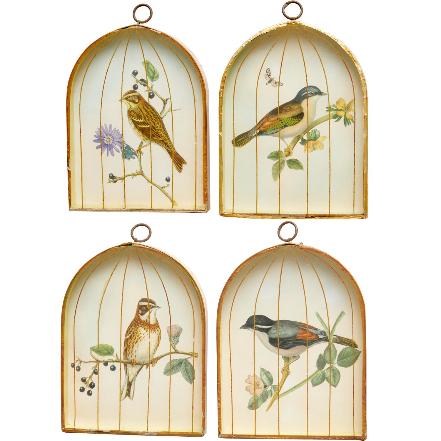 Metal Set (4) Trompe L'oeil Victorian English Bird Engravings in Birdcage Shadow Boxes