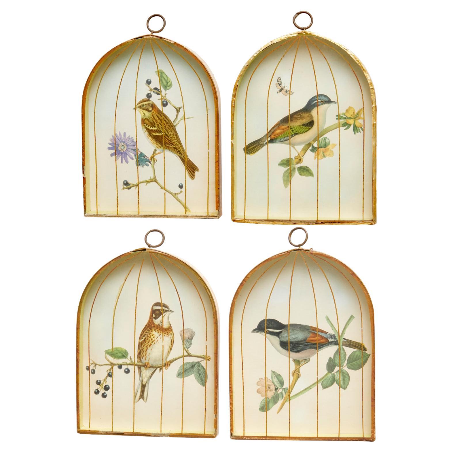 Set (4) Trompe L'oeil Victorian English Bird Engravings in Birdcage Shadow Boxes