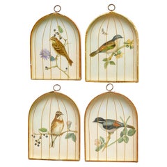 Ensemble (4) gravures d'oiseaux victoriennes anglaises en trompe-l'œil dans des boîtes d'ombres en cage à oiseaux