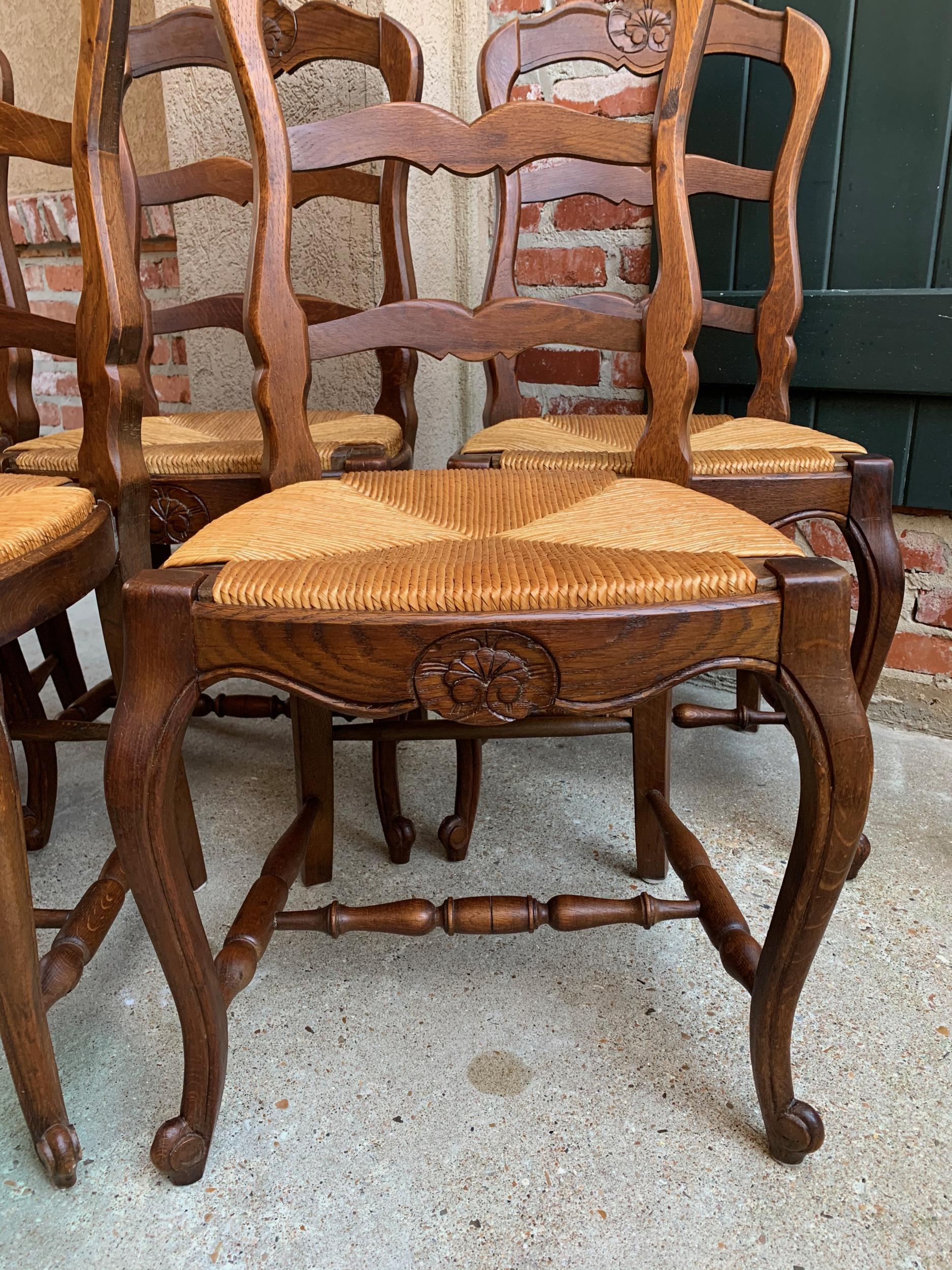 Set of 5 Antique French Country Carved Oak Ladder Back Dining Chair Rush Seat 8