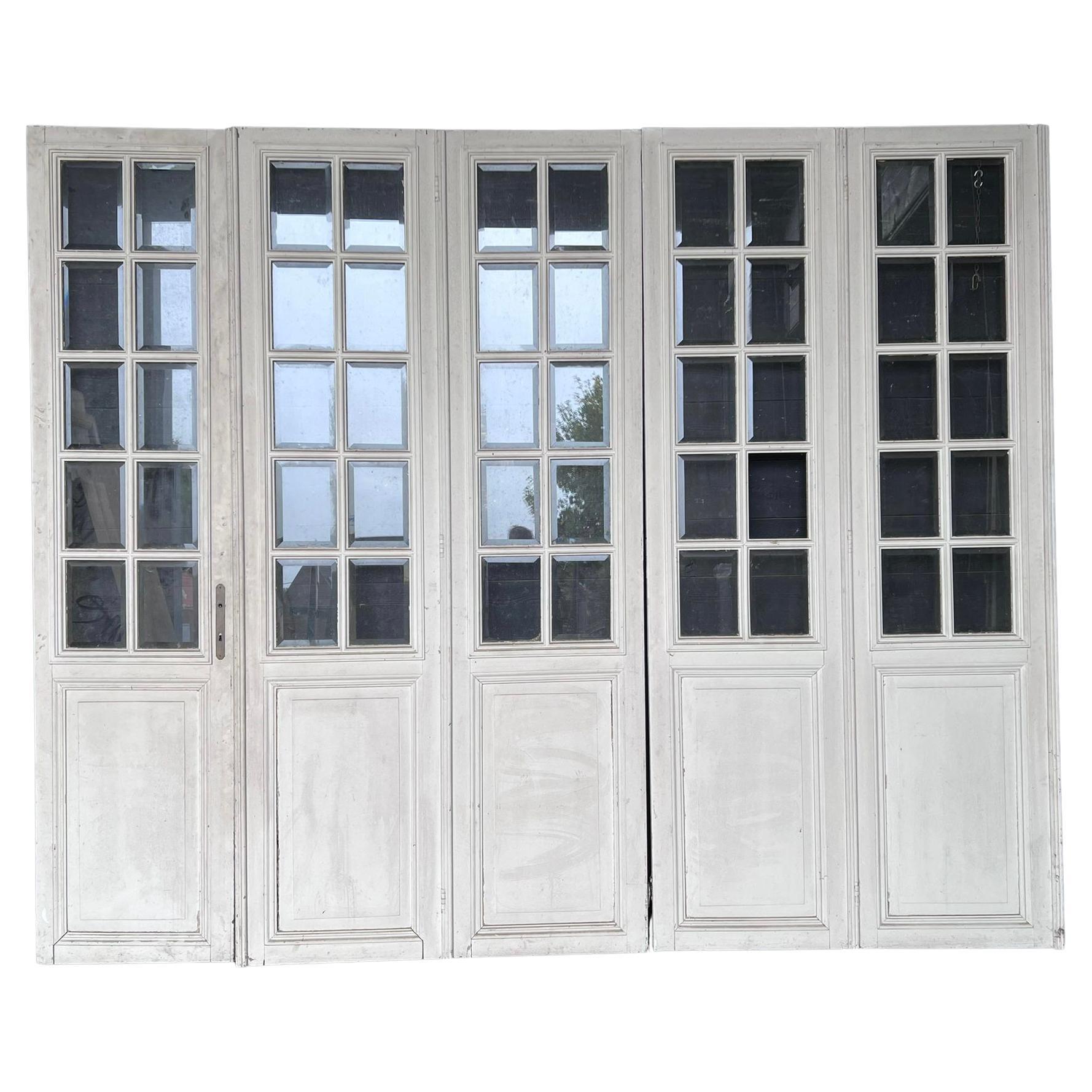 Set 5 French 19th Century Chateau Doors For Sale