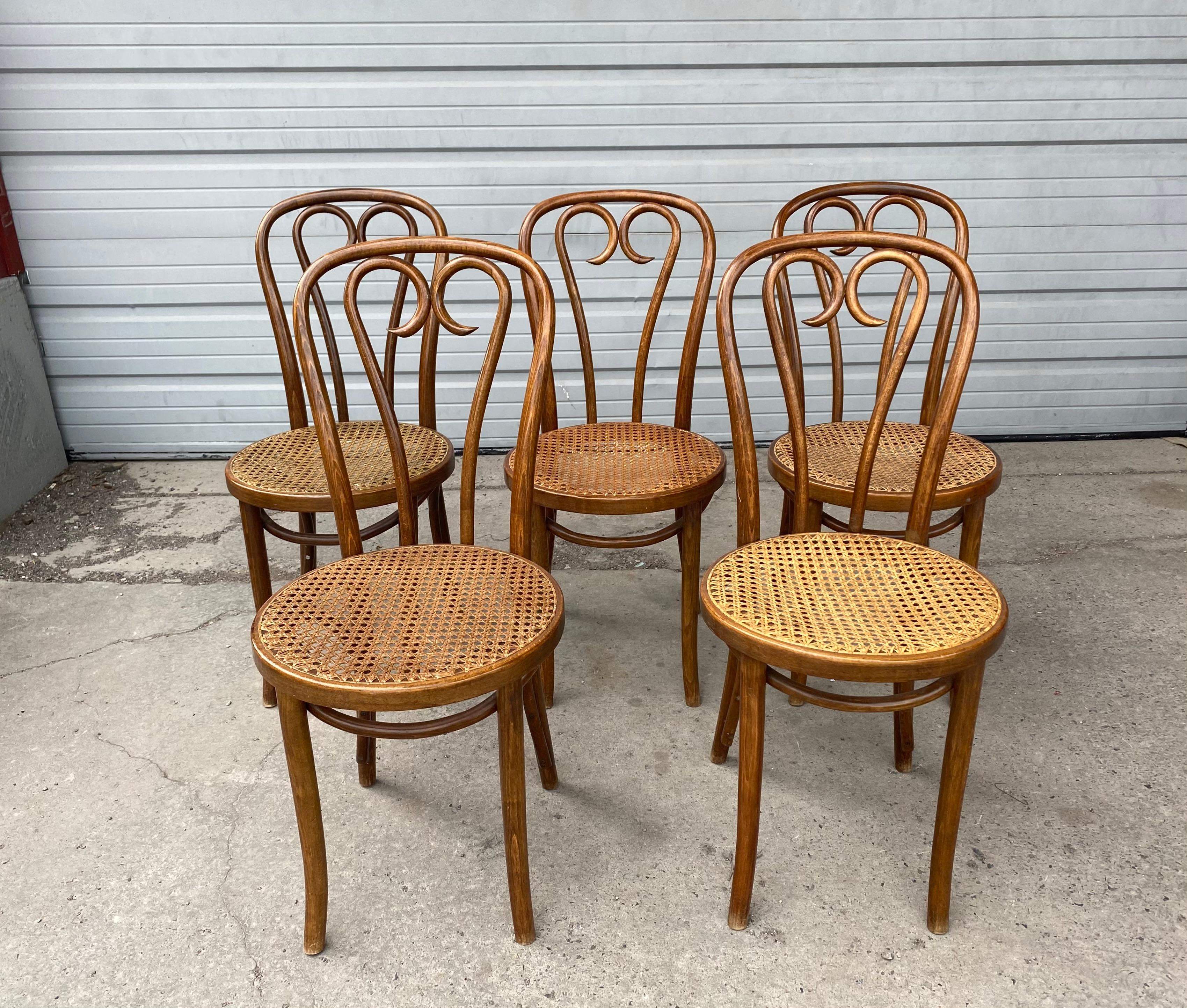 Bauhaus Set '5' Thonet Bentwood Cafe Bistro Dining Chairs, Caned Seats