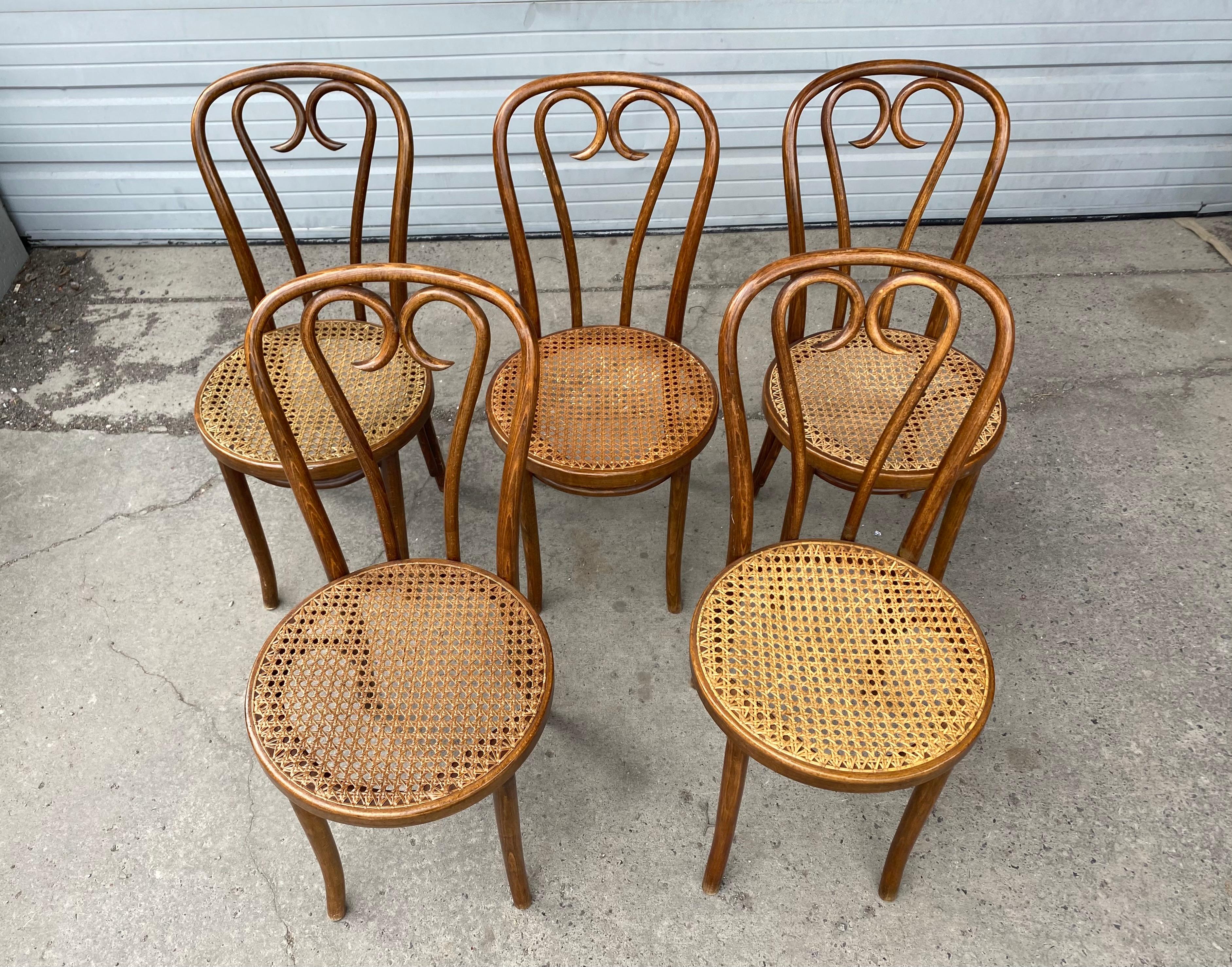 Romanian Set '5' Thonet Bentwood Cafe Bistro Dining Chairs, Caned Seats