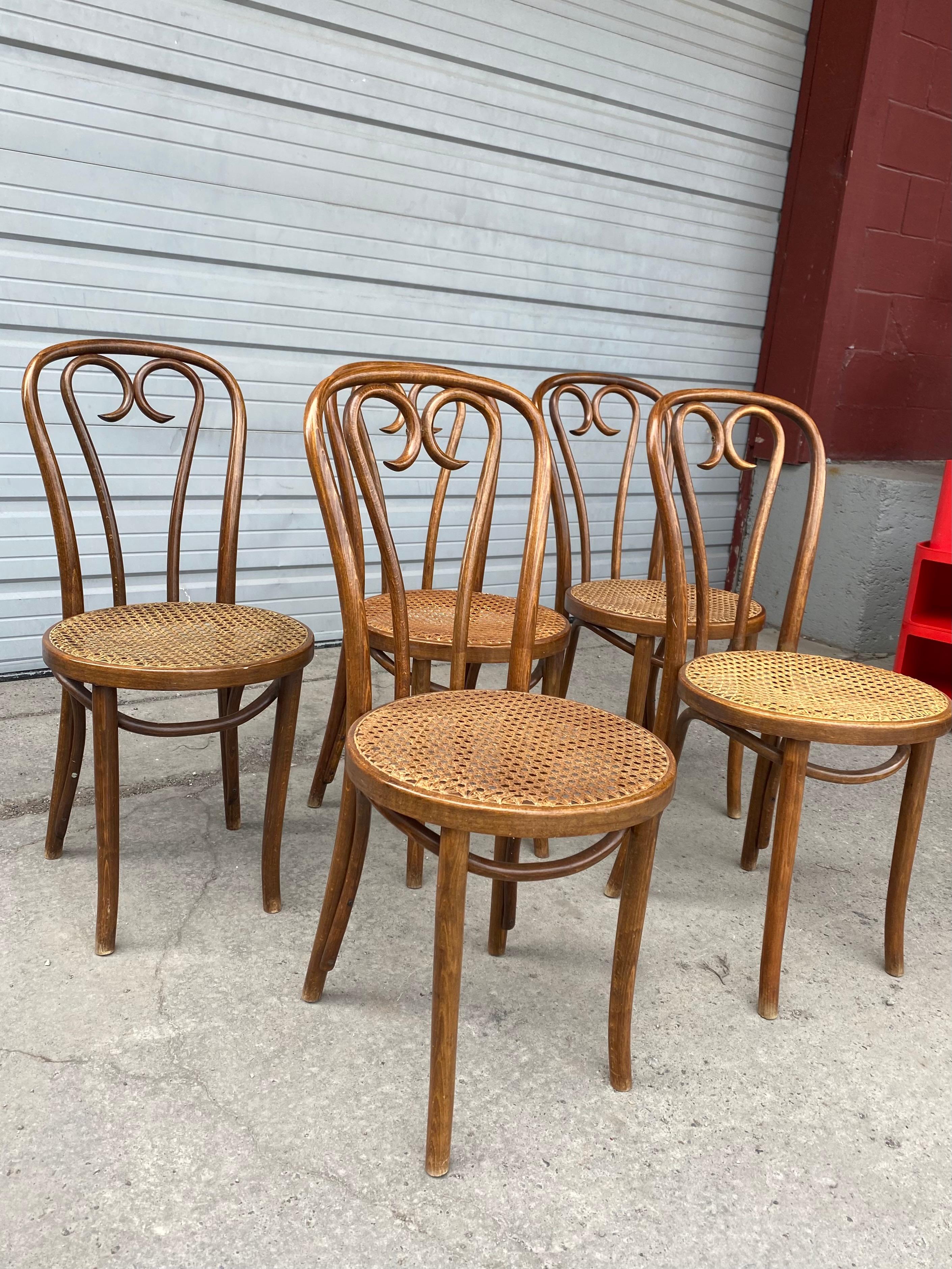 Set '5' Thonet Bentwood Cafe Bistro Dining Chairs, Caned Seats In Good Condition In Buffalo, NY