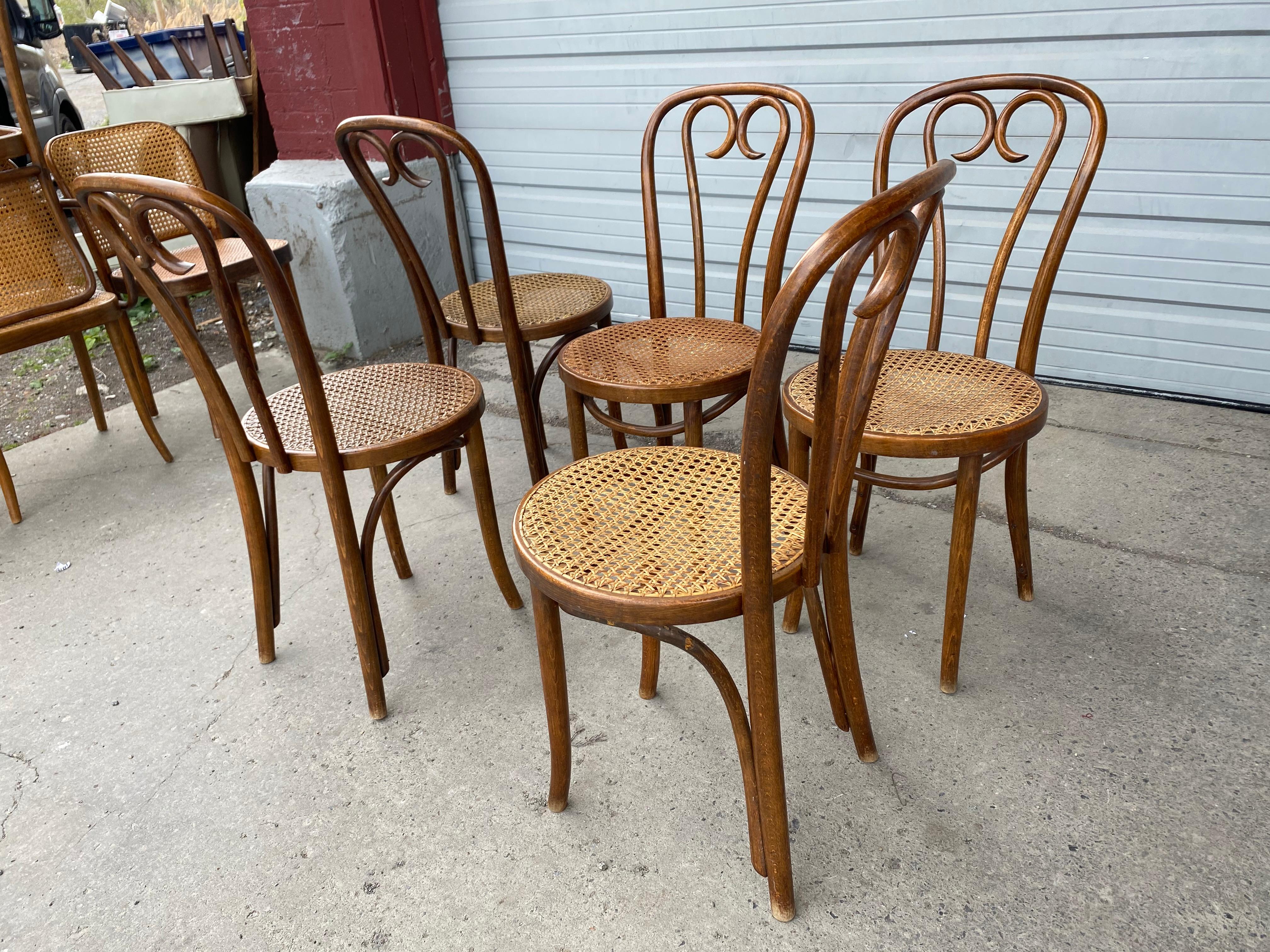 Mid-20th Century Set '5' Thonet Bentwood Cafe Bistro Dining Chairs, Caned Seats