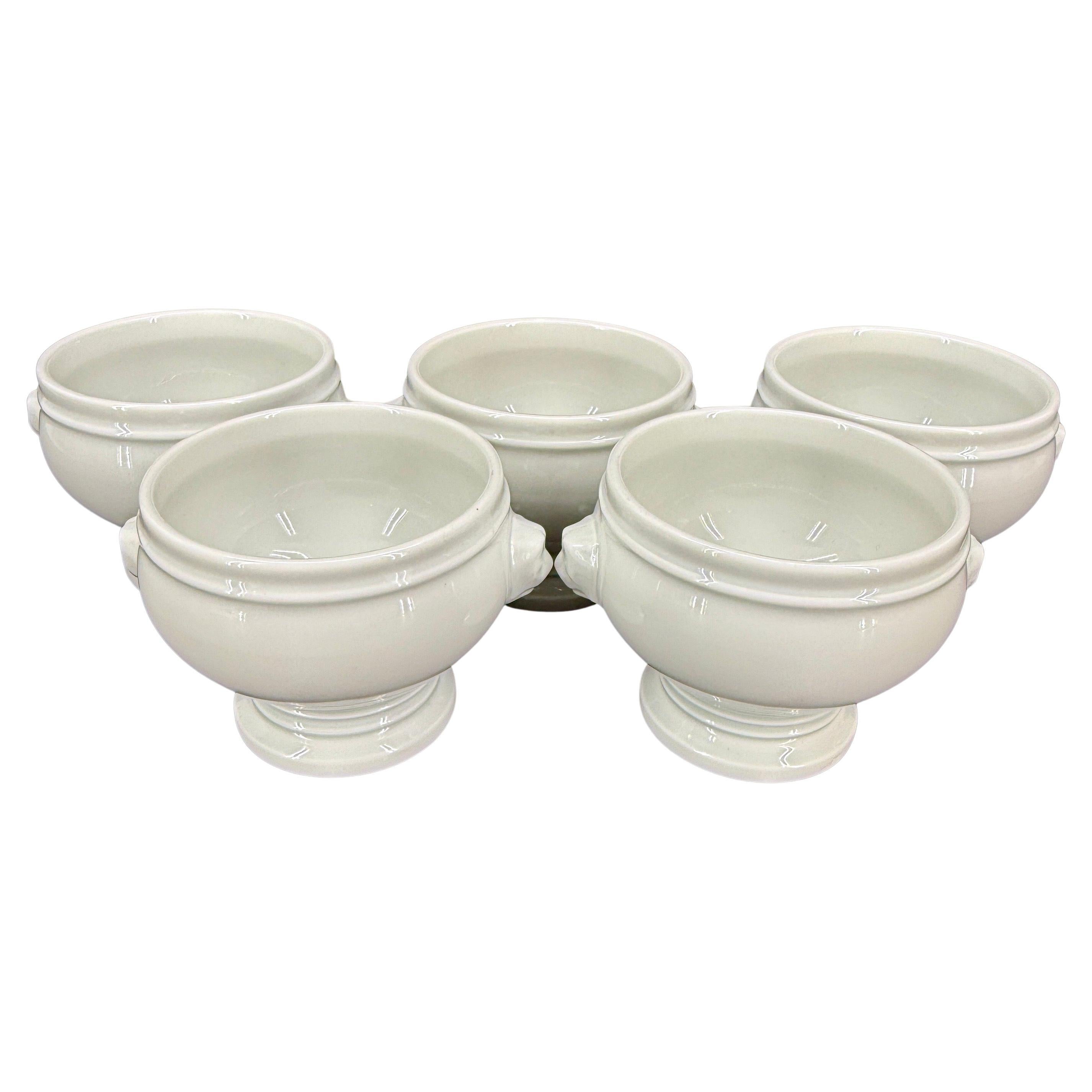 Set 5 Vintage French Lion Head Bowls, Pillivuyt France For Sale