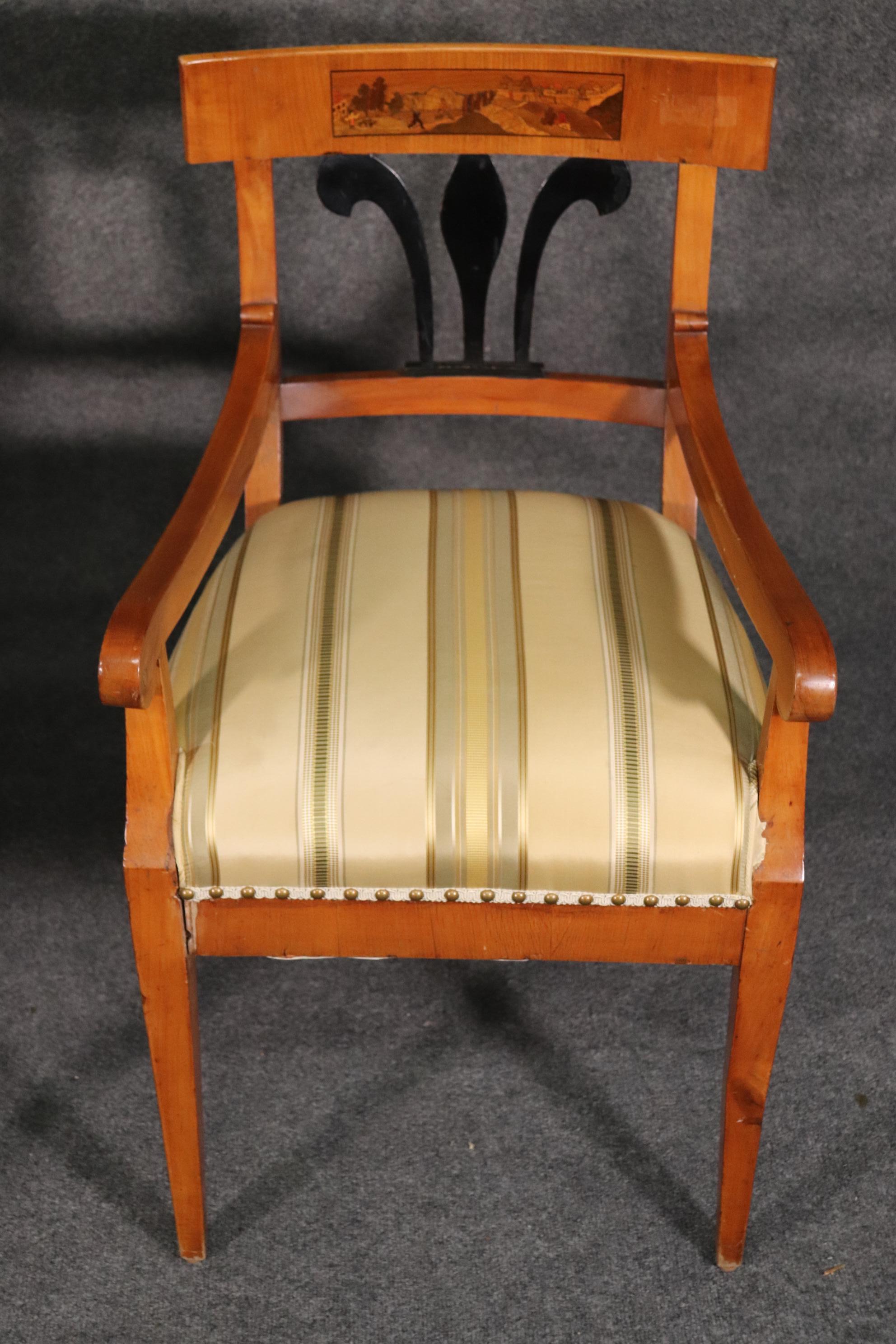 Set 6 Antique Biedermeier Birch and Ebonized Dining Chairs 14