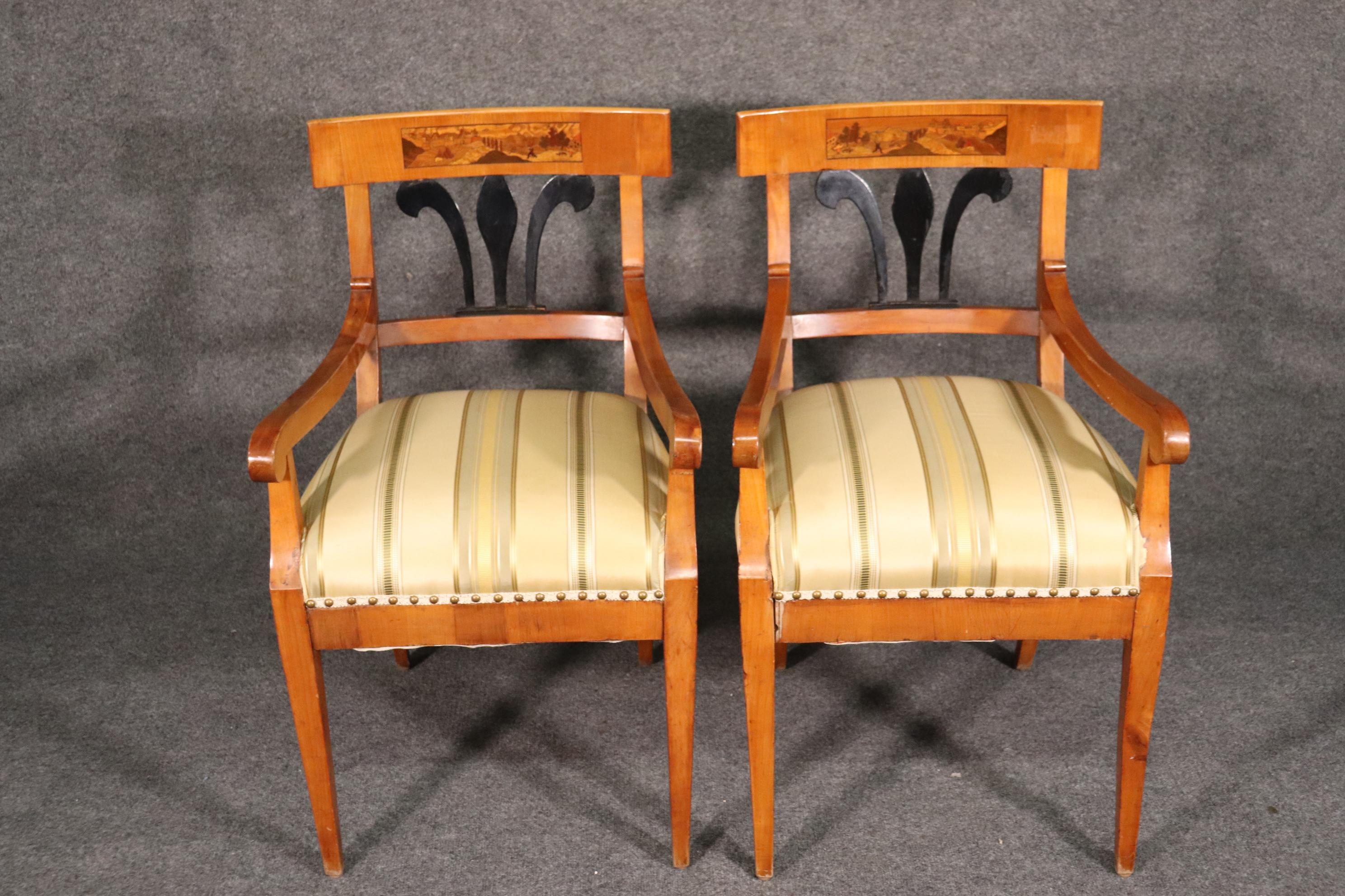 Austrian Set 6 Antique Biedermeier Birch and Ebonized Dining Chairs