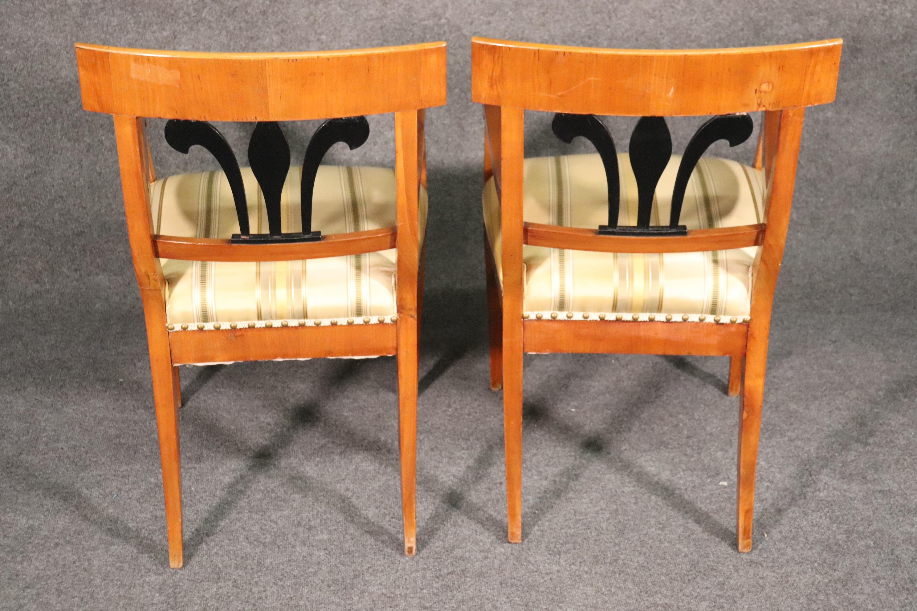 Early 20th Century Set 6 Antique Biedermeier Birch and Ebonized Dining Chairs