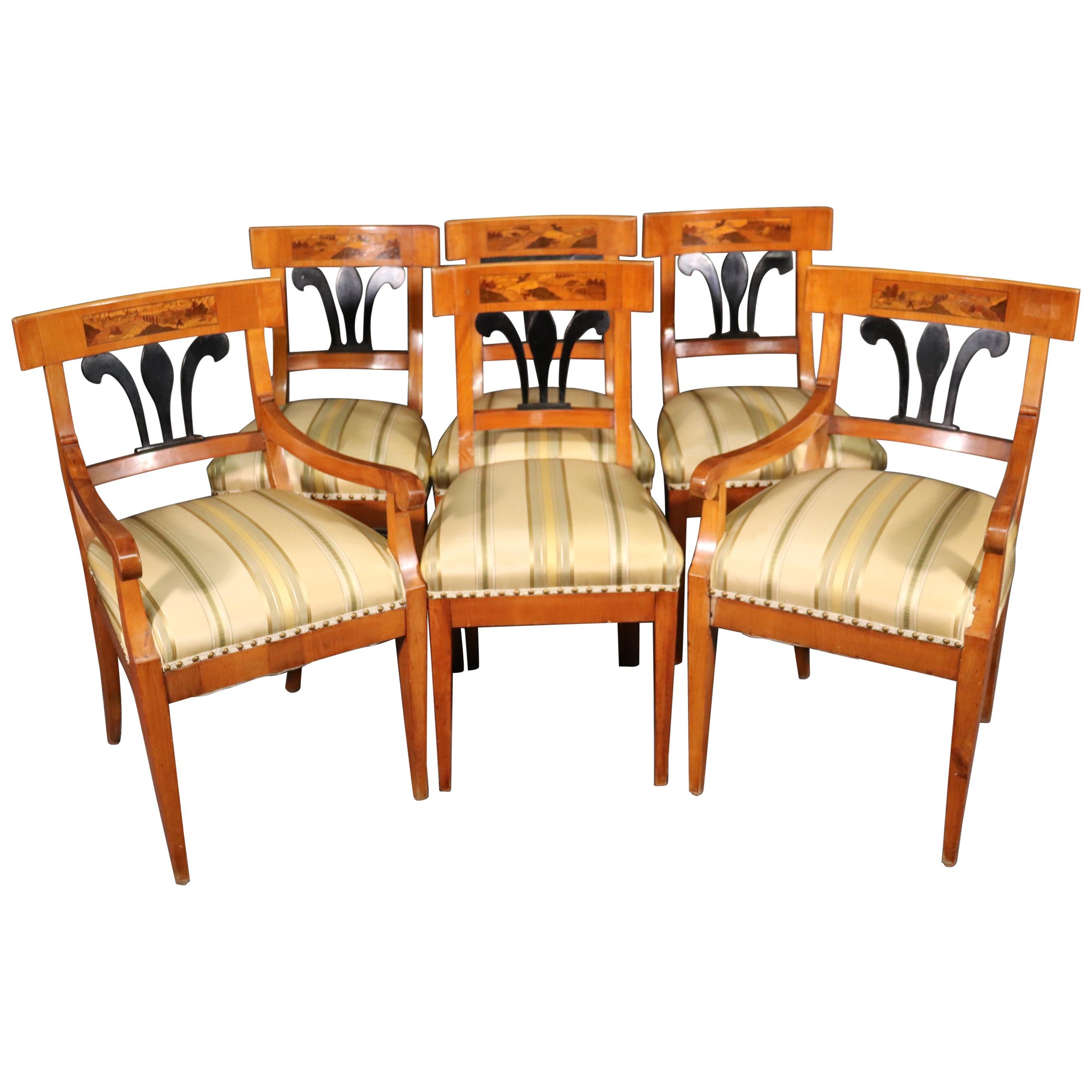 Set 6 Antique Biedermeier Birch and Ebonized Dining Chairs