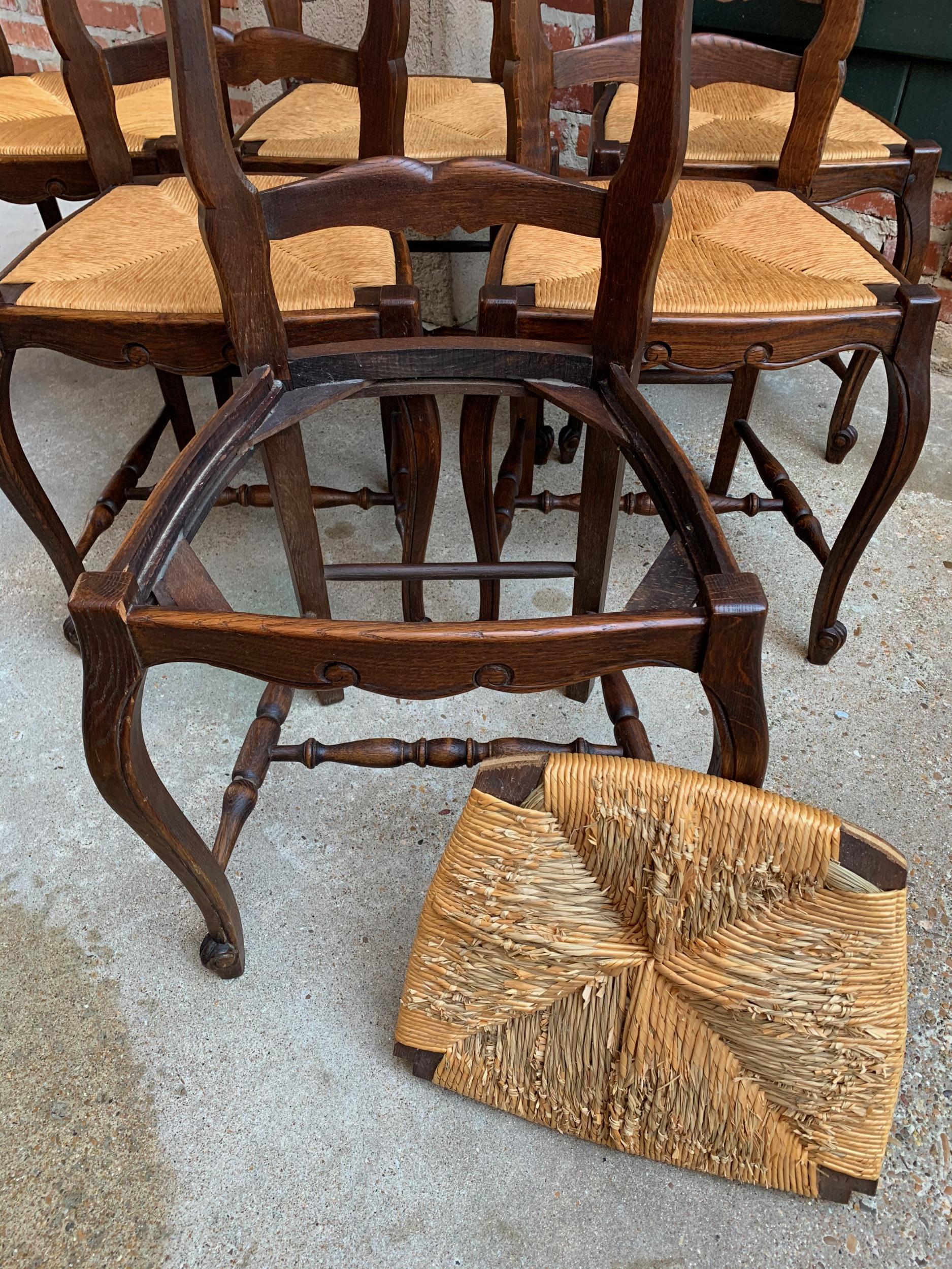 Set of 6 Antique French Carved Dark Oak Ladder Back Dining Chair Rush Seat 5