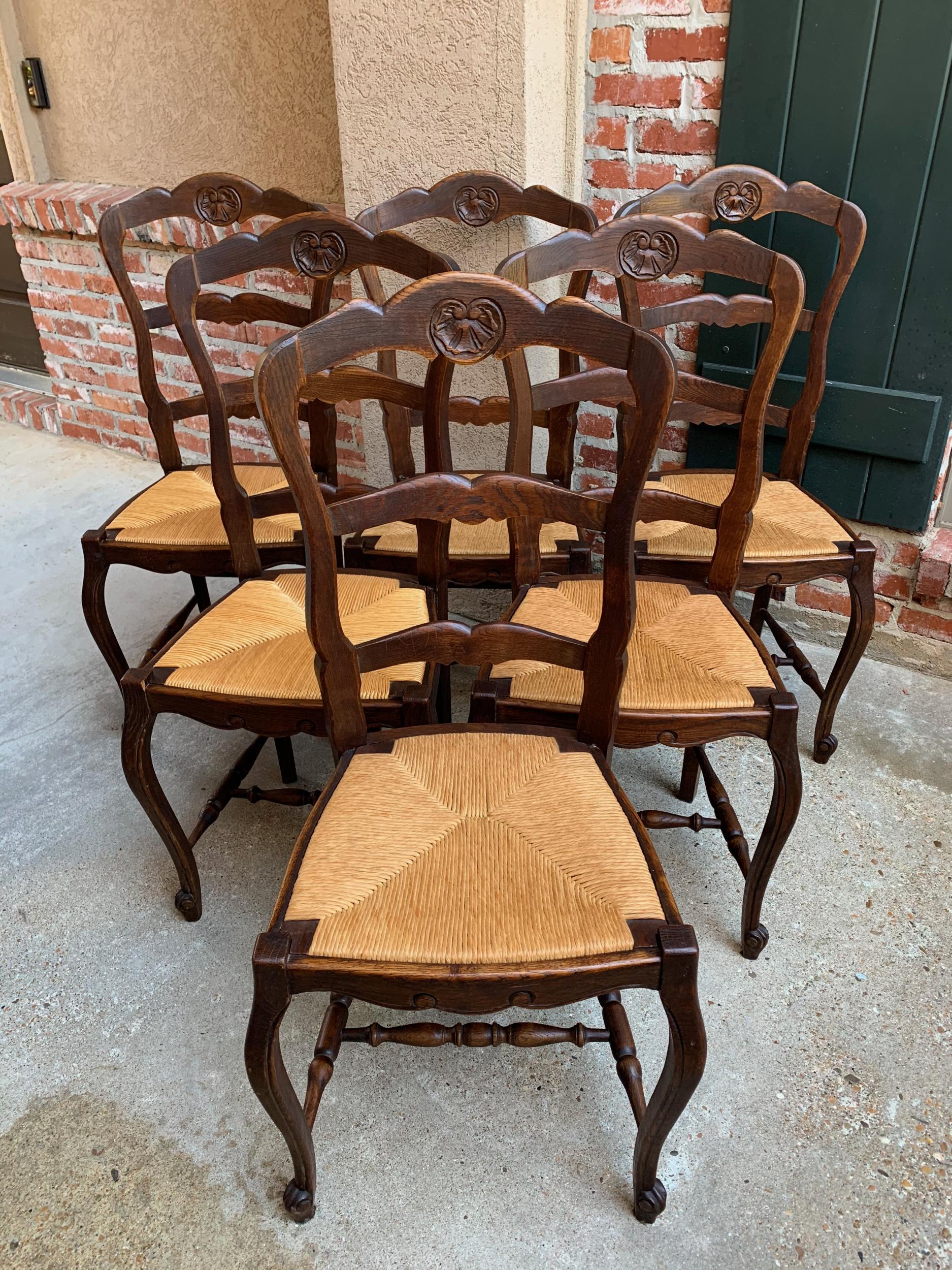 Set of 6 Antique French Carved Dark Oak Ladder Back Dining Chair Rush Seat 9