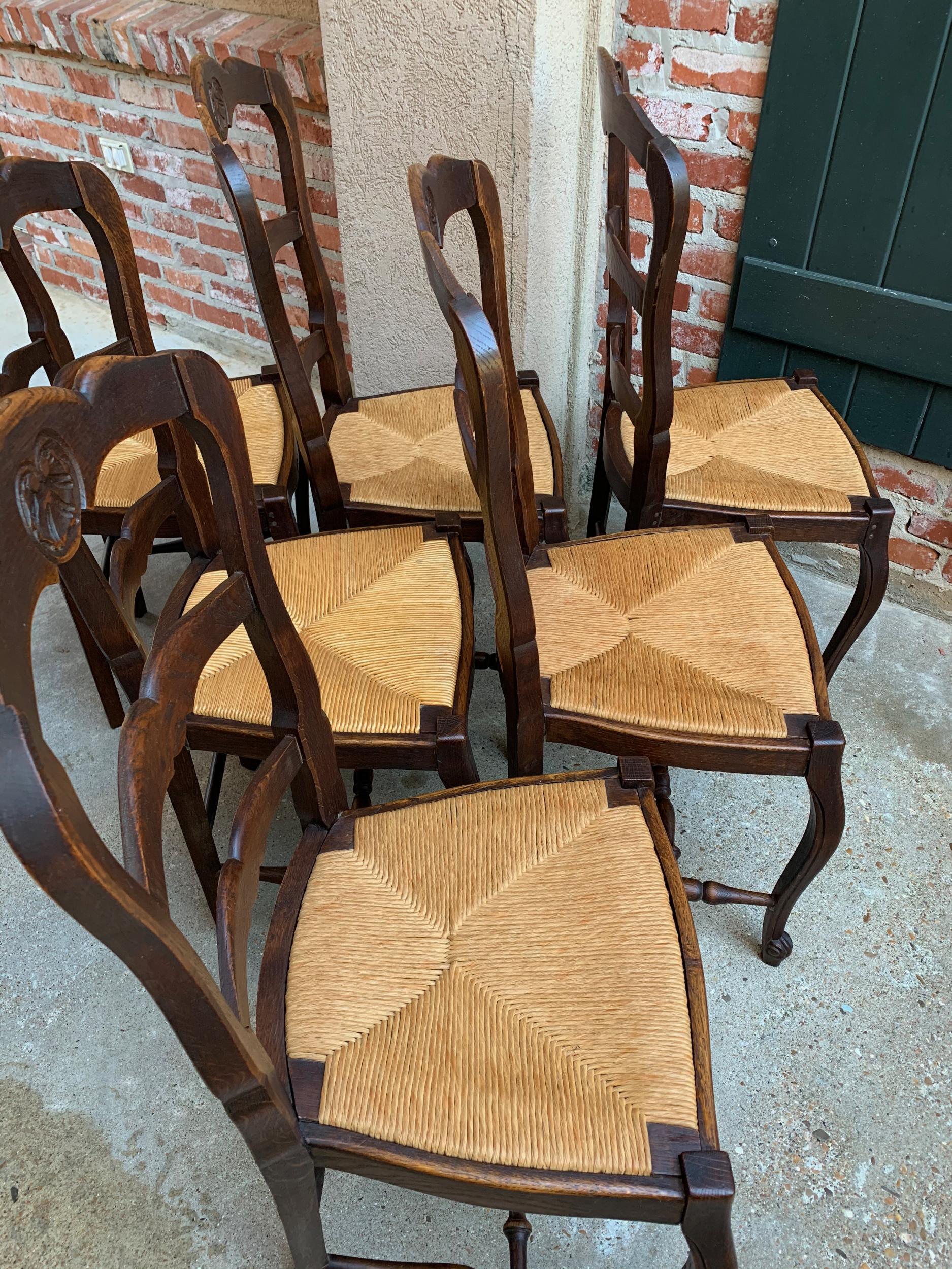 Set of 6 Antique French Carved Dark Oak Ladder Back Dining Chair Rush Seat 11