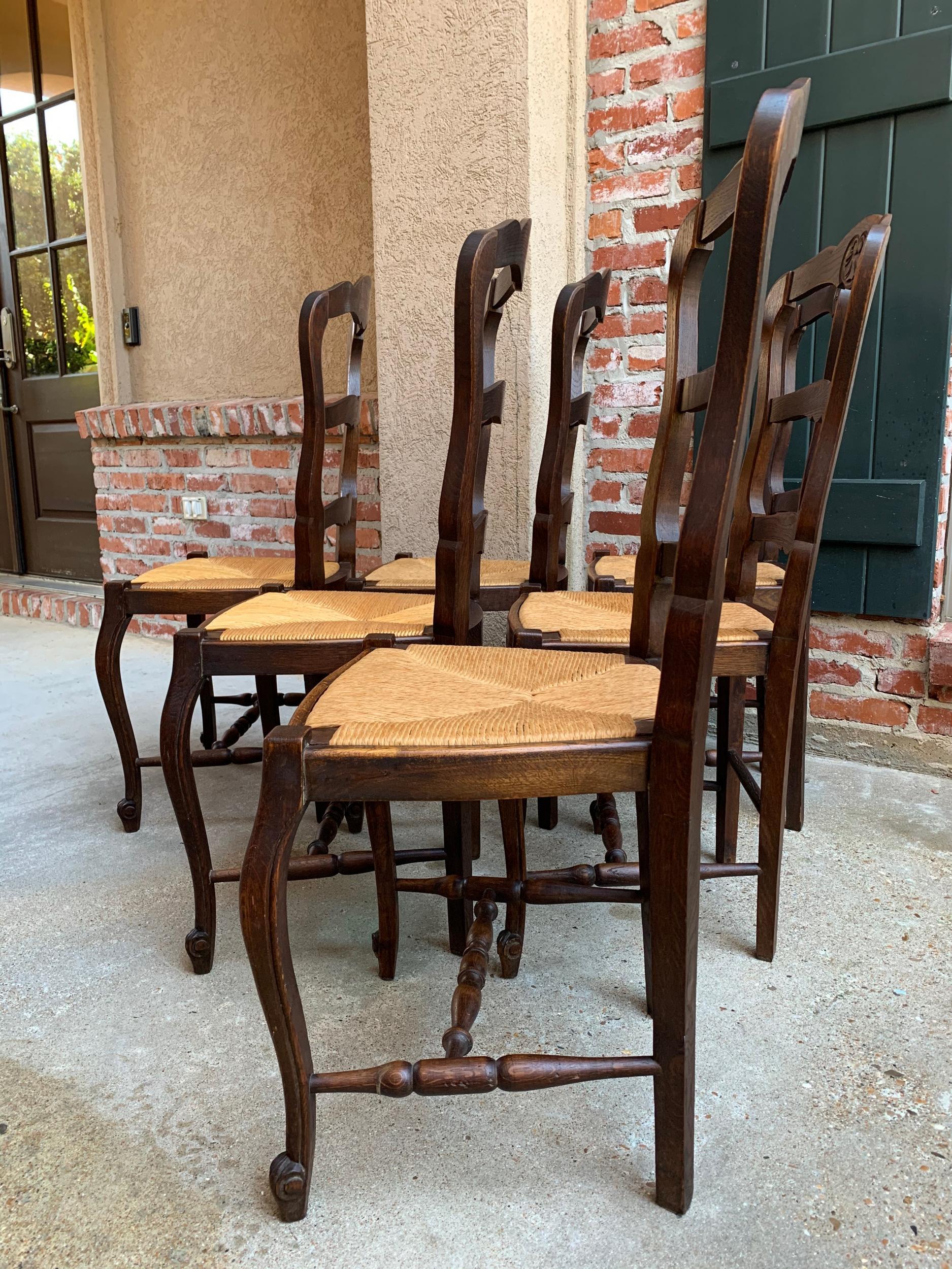 Set of 6 Antique French Carved Dark Oak Ladder Back Dining Chair Rush Seat 14