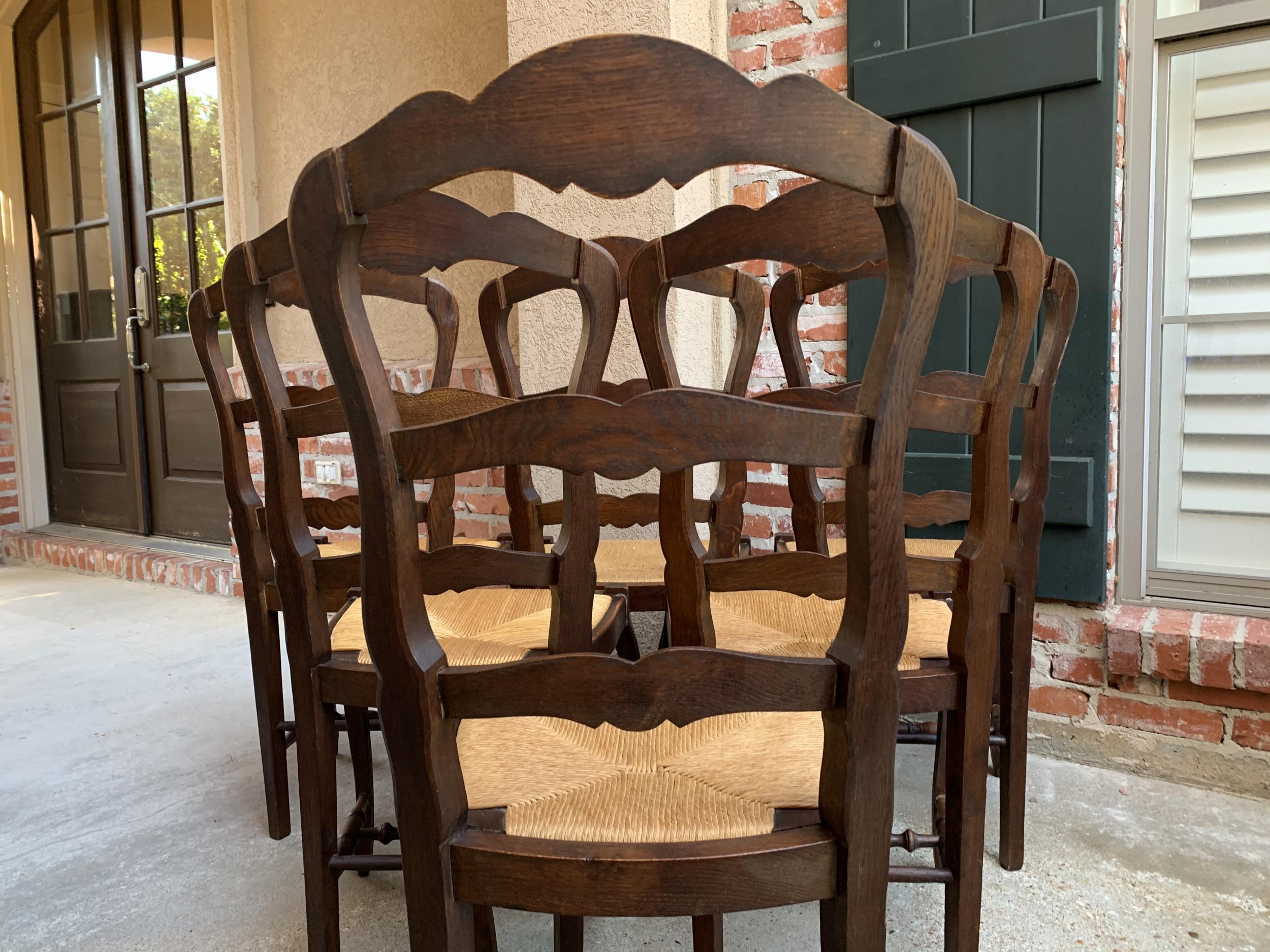 Set of 6 Antique French Carved Dark Oak Ladder Back Dining Chair Rush Seat 15