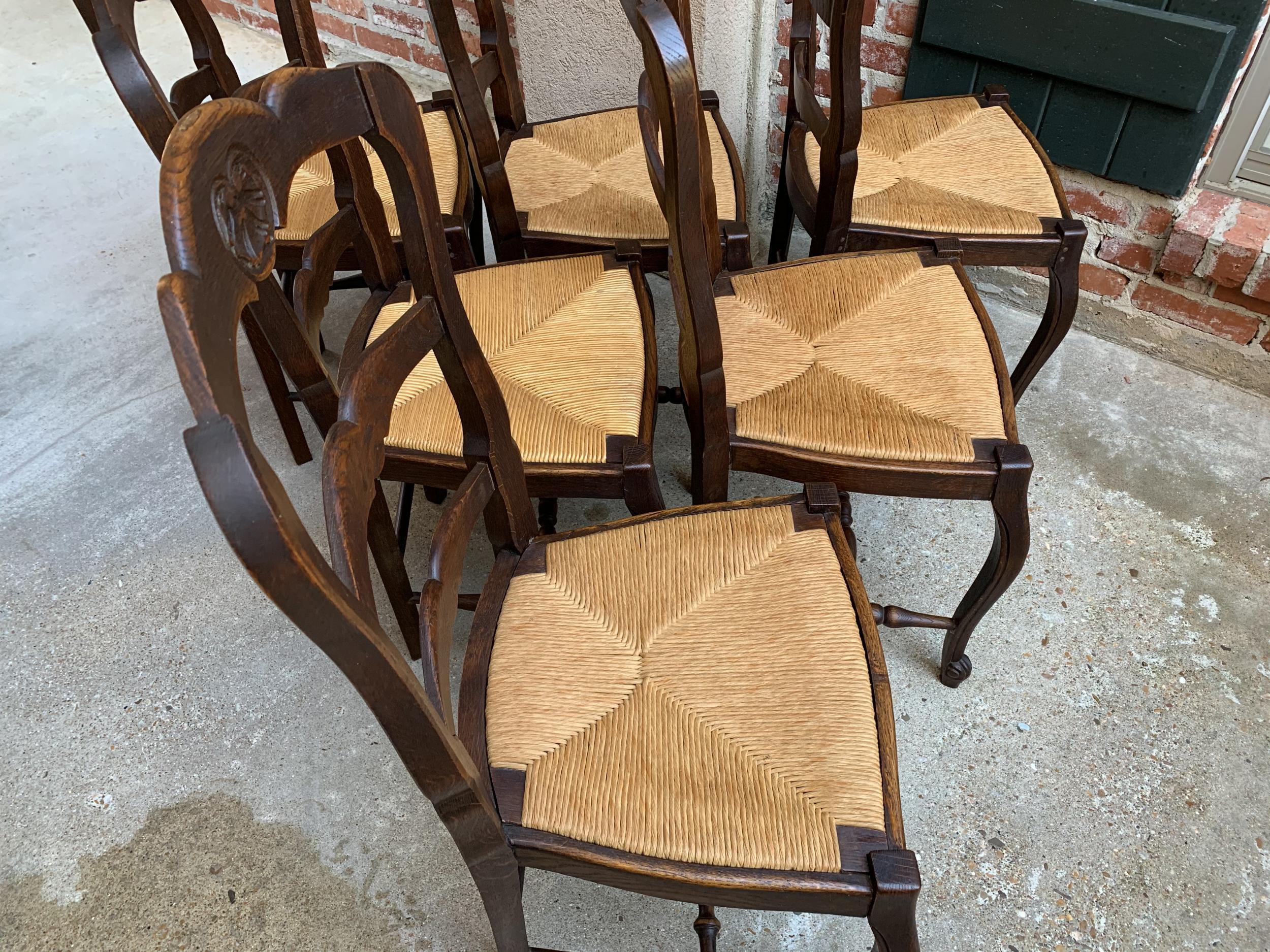 20th Century Set of 6 Antique French Carved Dark Oak Ladder Back Dining Chair Rush Seat