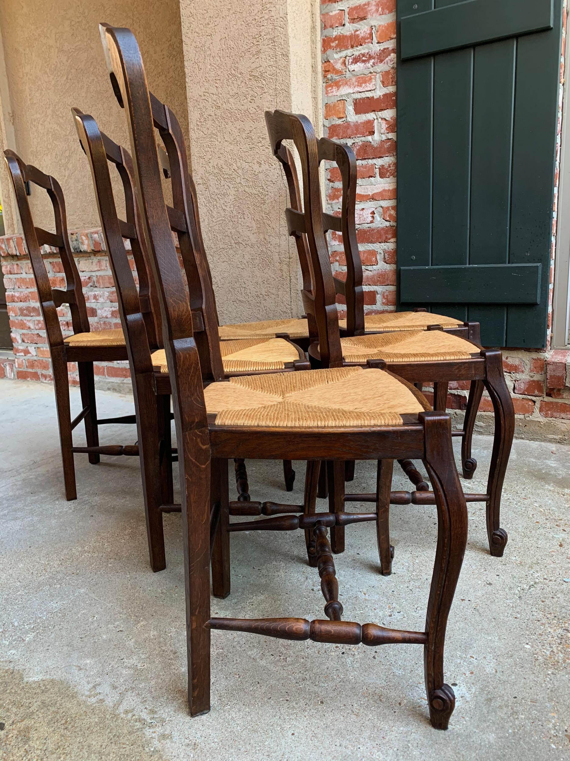 Set of 6 Antique French Carved Dark Oak Ladder Back Dining Chair Rush Seat 2