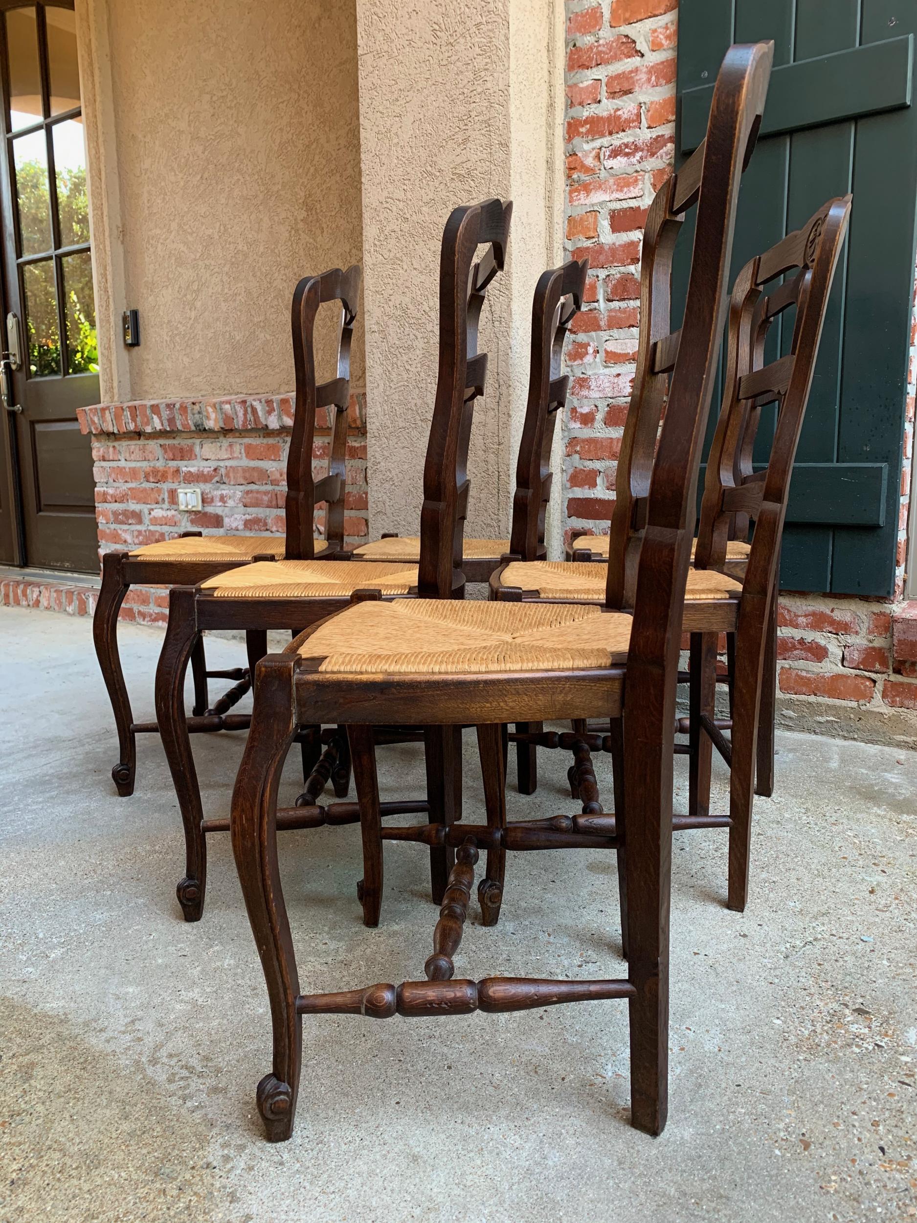 Set of 6 Antique French Carved Dark Oak Ladder Back Dining Chair Rush Seat 3