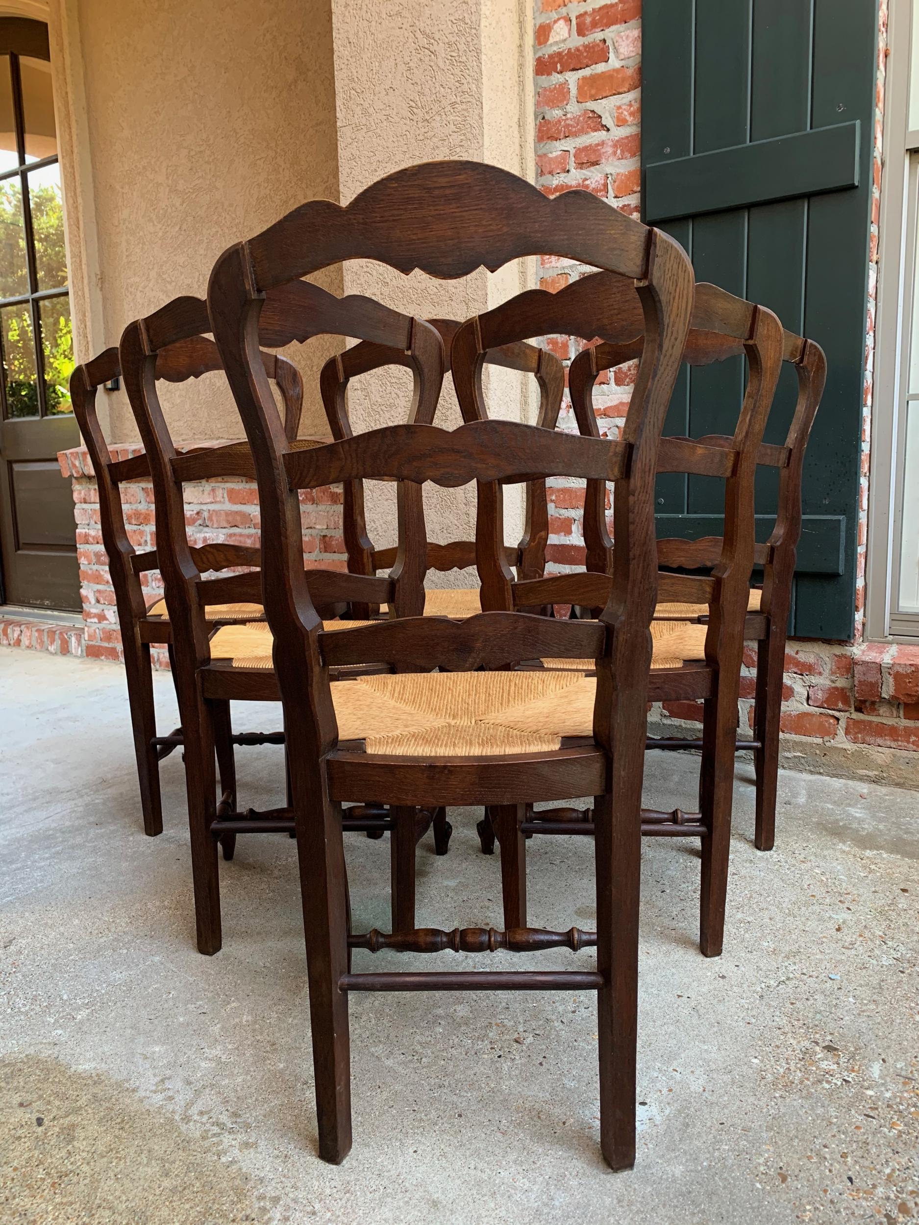 Set of 6 Antique French Carved Dark Oak Ladder Back Dining Chair Rush Seat 4