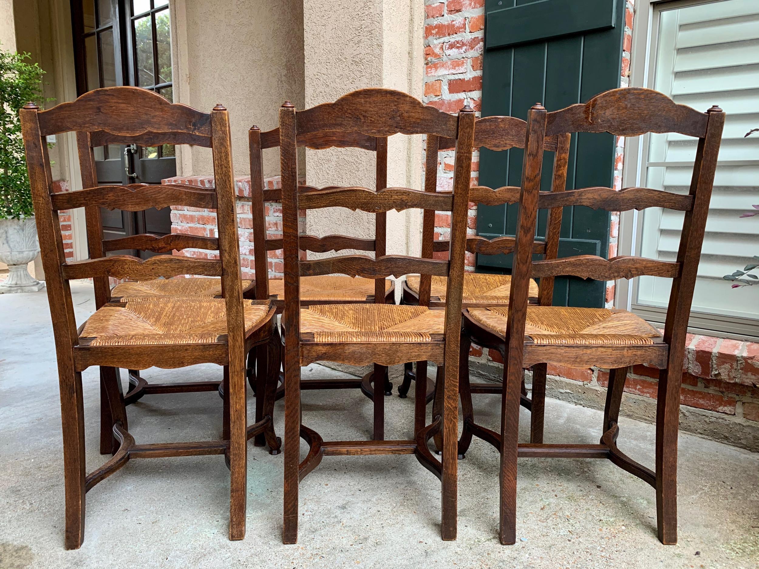 Set 6 Antique French Country Carved Oak Ladder Back Dining Chair Rush Seat 4