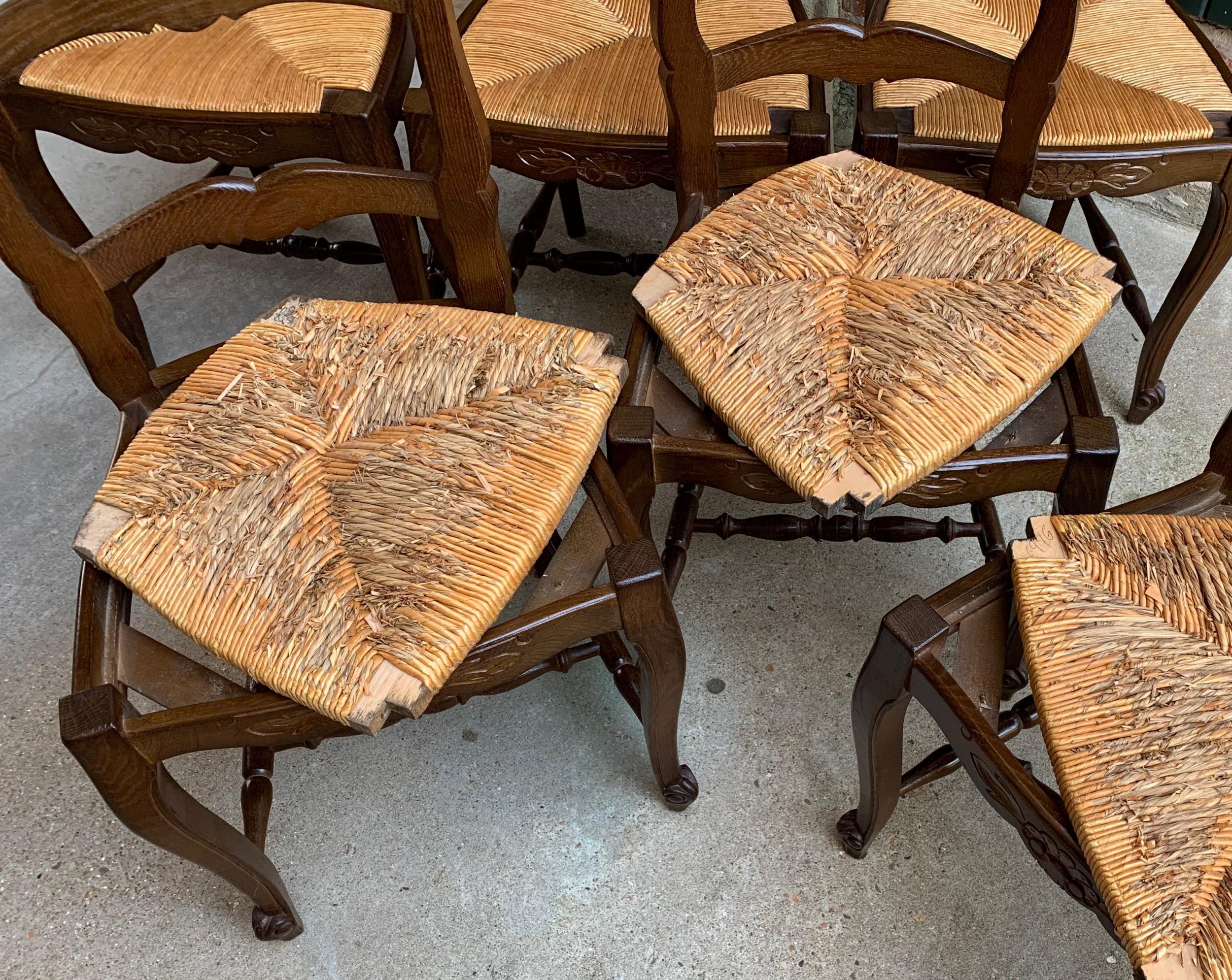 Set of 6 Antique French Country Carved Oak Ladder Back Dining Chair Rush Seat 12