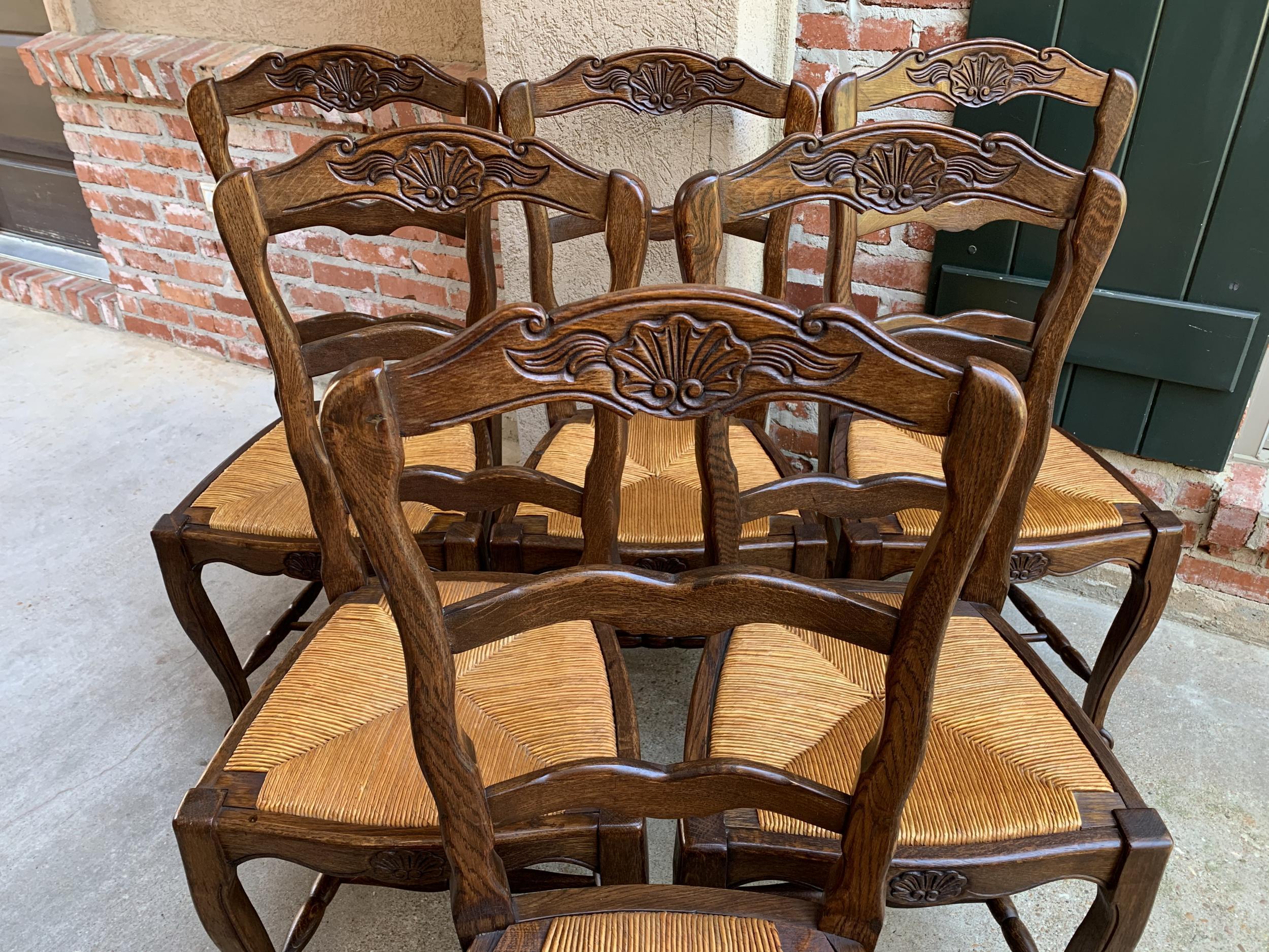 French Provincial Set 6 Antique French Country Carved Oak Ladder Back Dining Chair Rush Seat