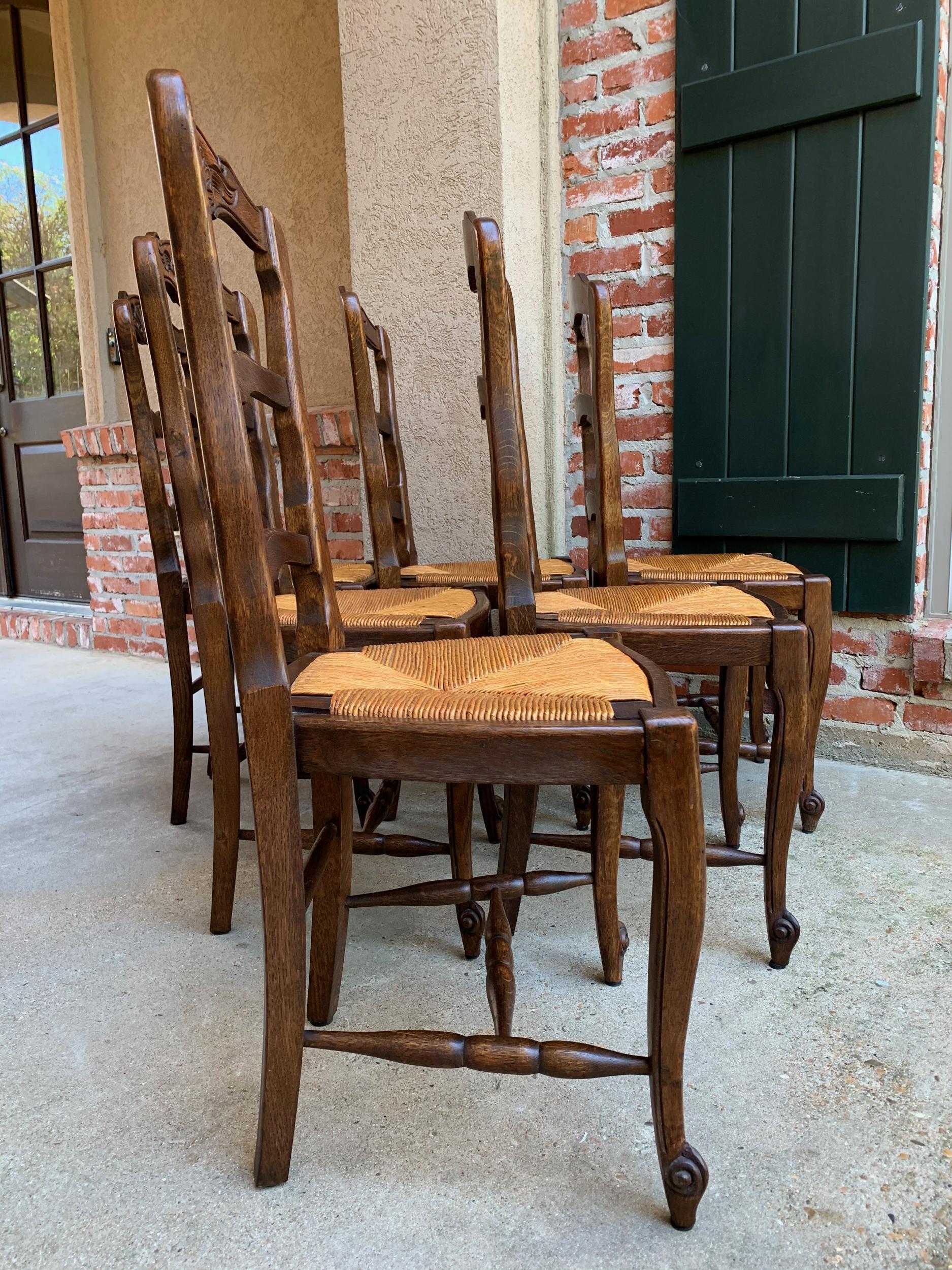 Set 6 Antique French Country Carved Oak Ladder Back Dining Chair Rush Seat 2