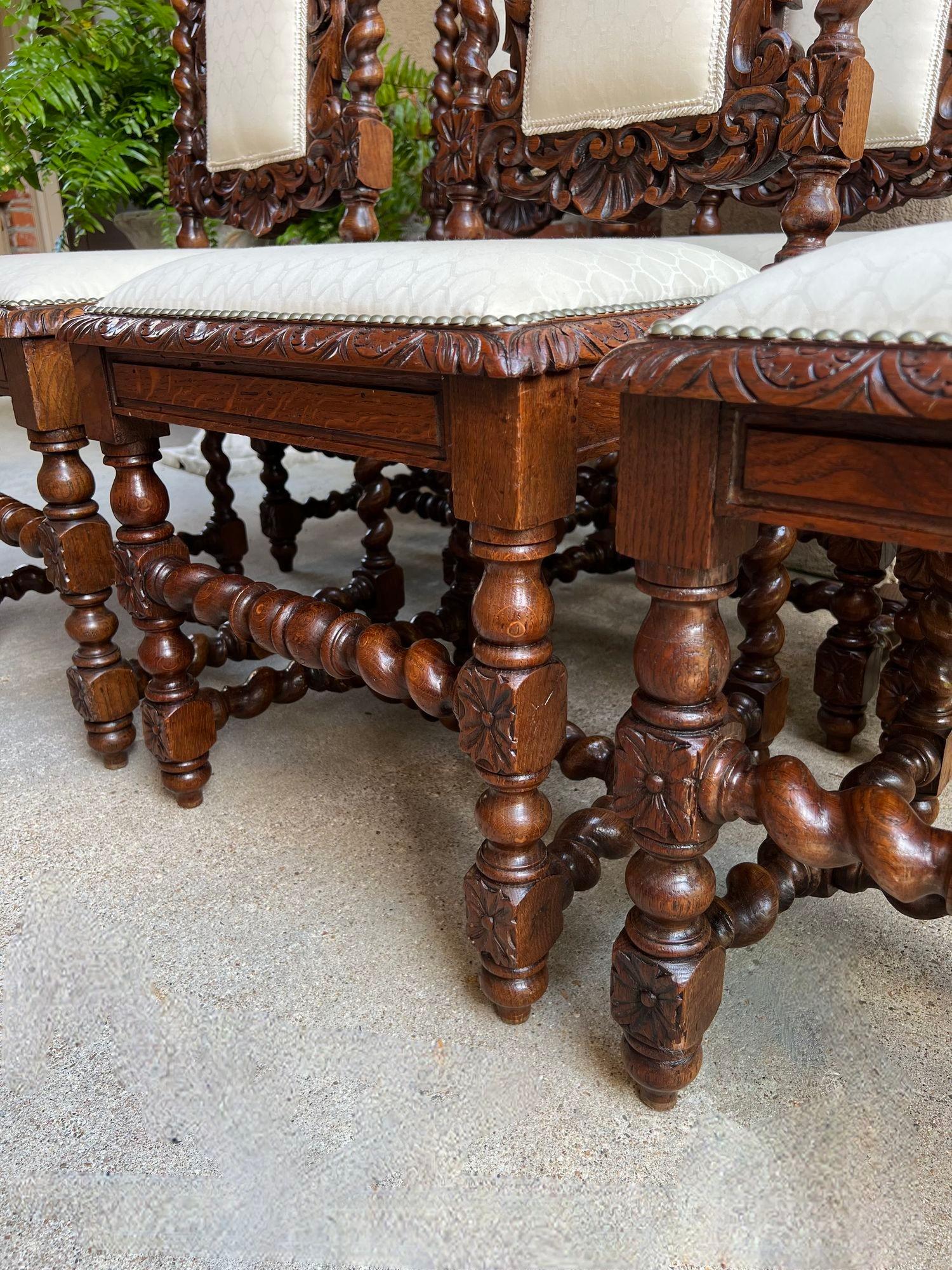 Set 6 Antique French Dining Chairs Renaissance Carved Oak Lion Barley Twist 8