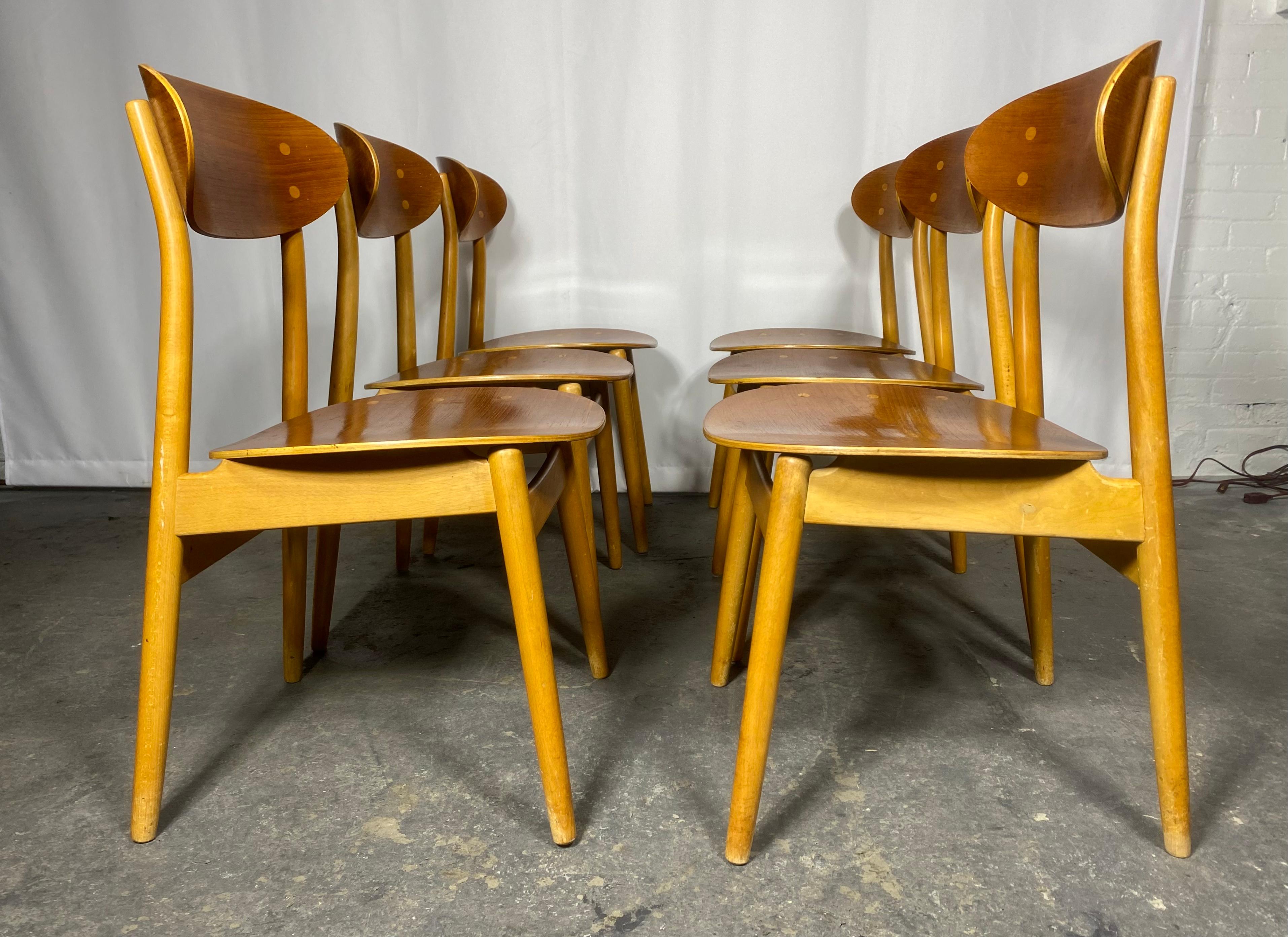 Set 6 Bent Plywood Dining Chairs by Sven Erik Fryklund for Hagafors, Sweden For Sale 1