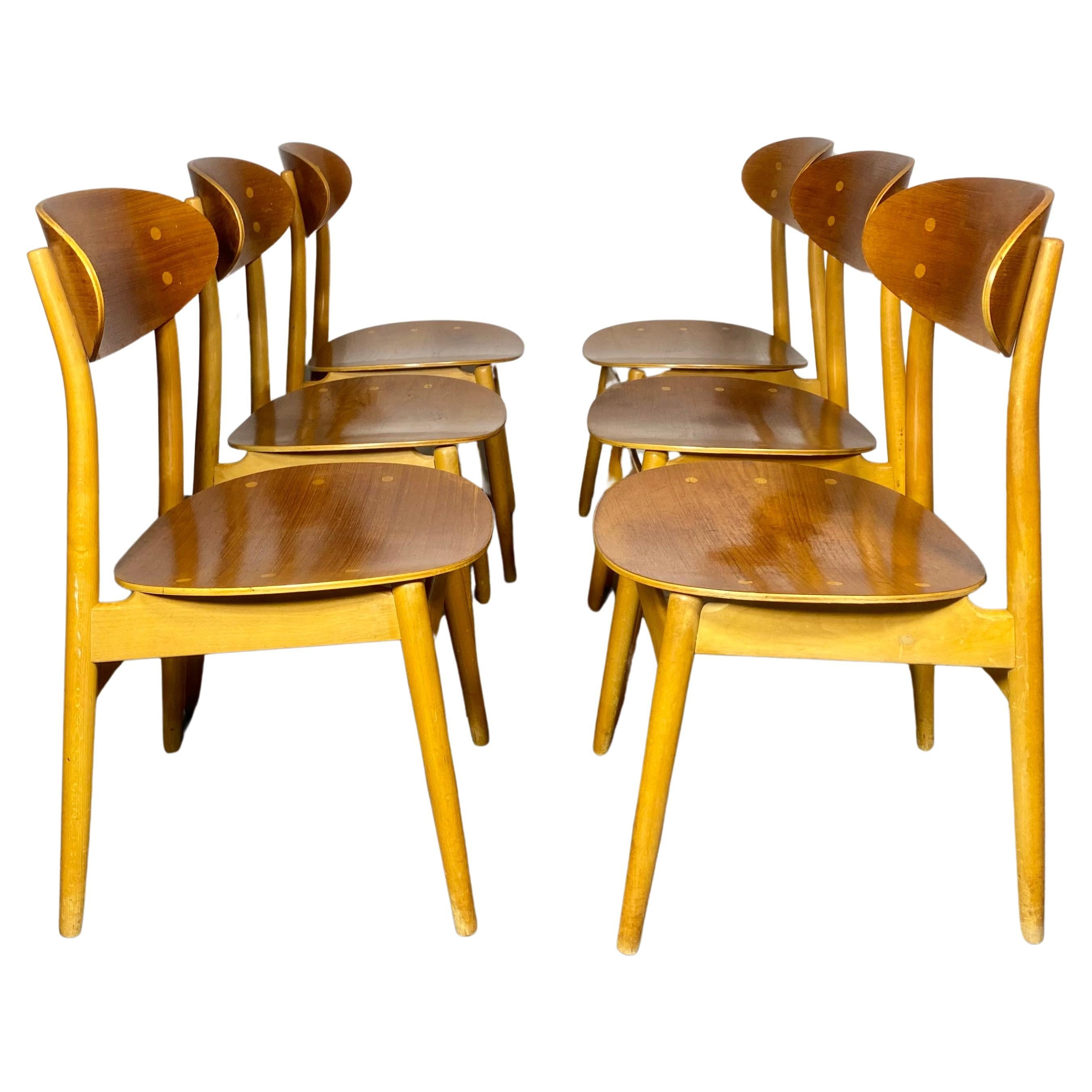 Set 6 Bent Plywood Dining Chairs by Sven Erik Fryklund for Hagafors, Sweden For Sale