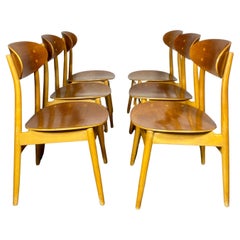 Vintage Set 6 Bent Plywood Dining Chairs by Sven Erik Fryklund for Hagafors, Sweden