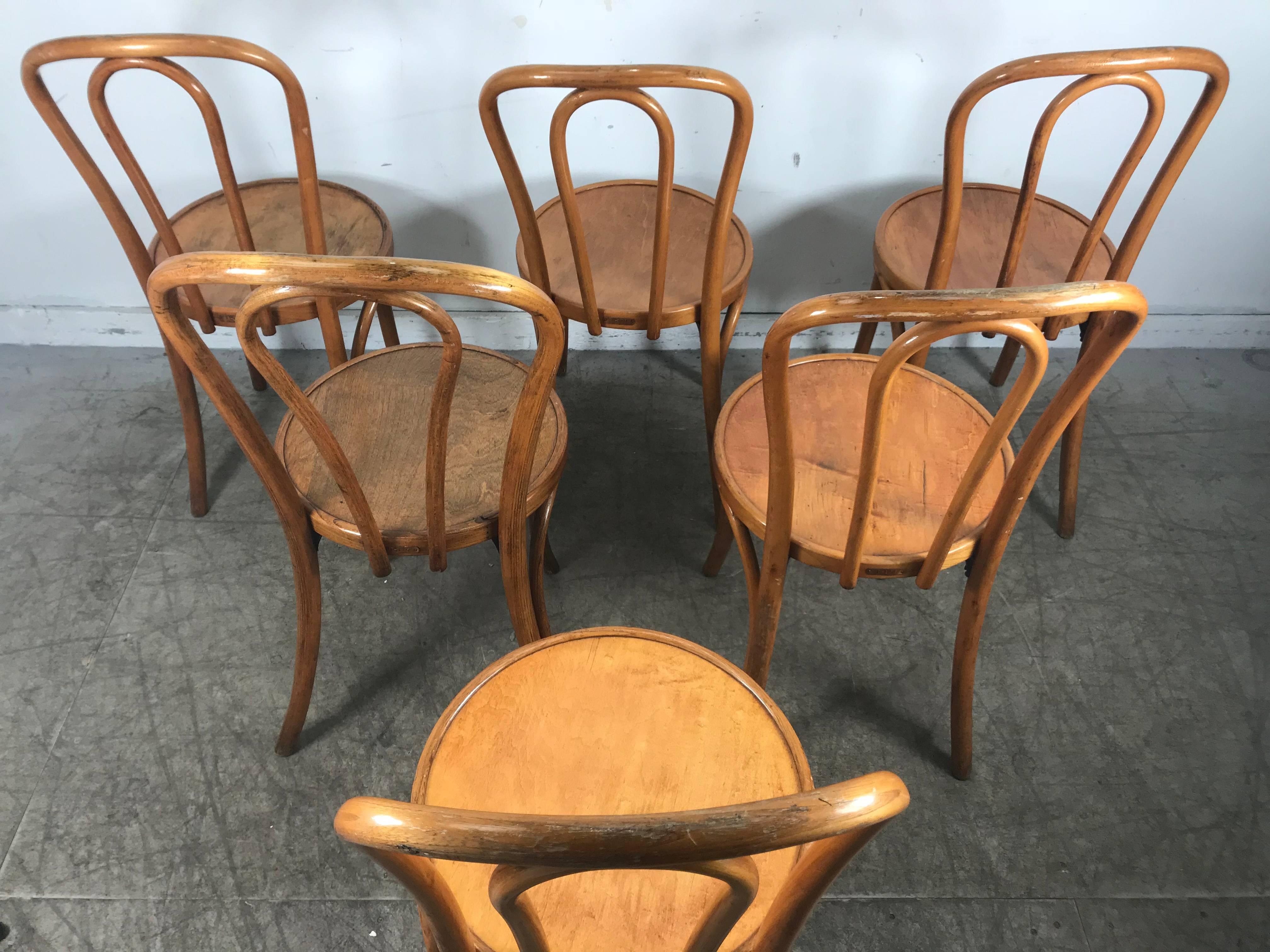 Set of Six Classic American Bentwood Side Chairs by Thonet, New York 6