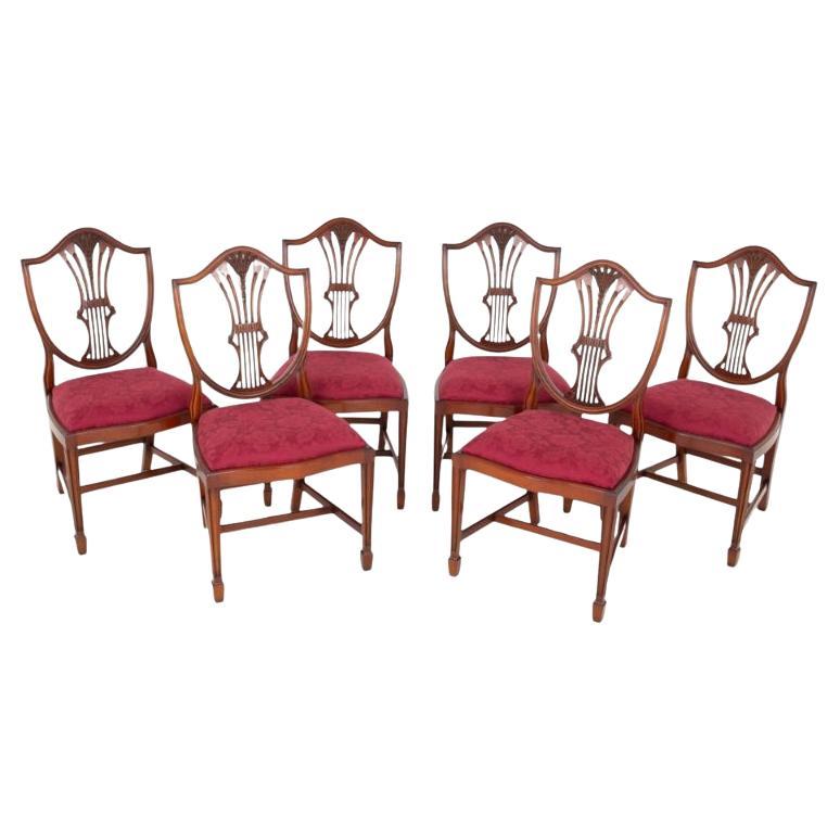 Satz 6 Hepplewhite Esszimmerstühle Mahagoni Revival im Angebot