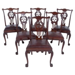 Set 6 Irish Chippendale Dining Chairs Mahogany