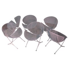 Set aus sechs orangefarbenen Muschelschalenstühlen von Salterini